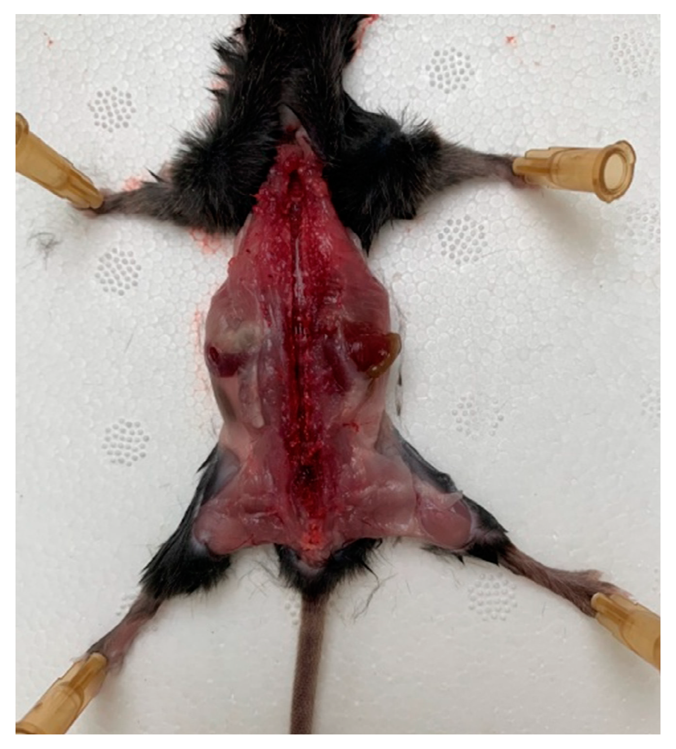 Biomedicines 08 00049 g001 Biomedicines 08 00049 g001