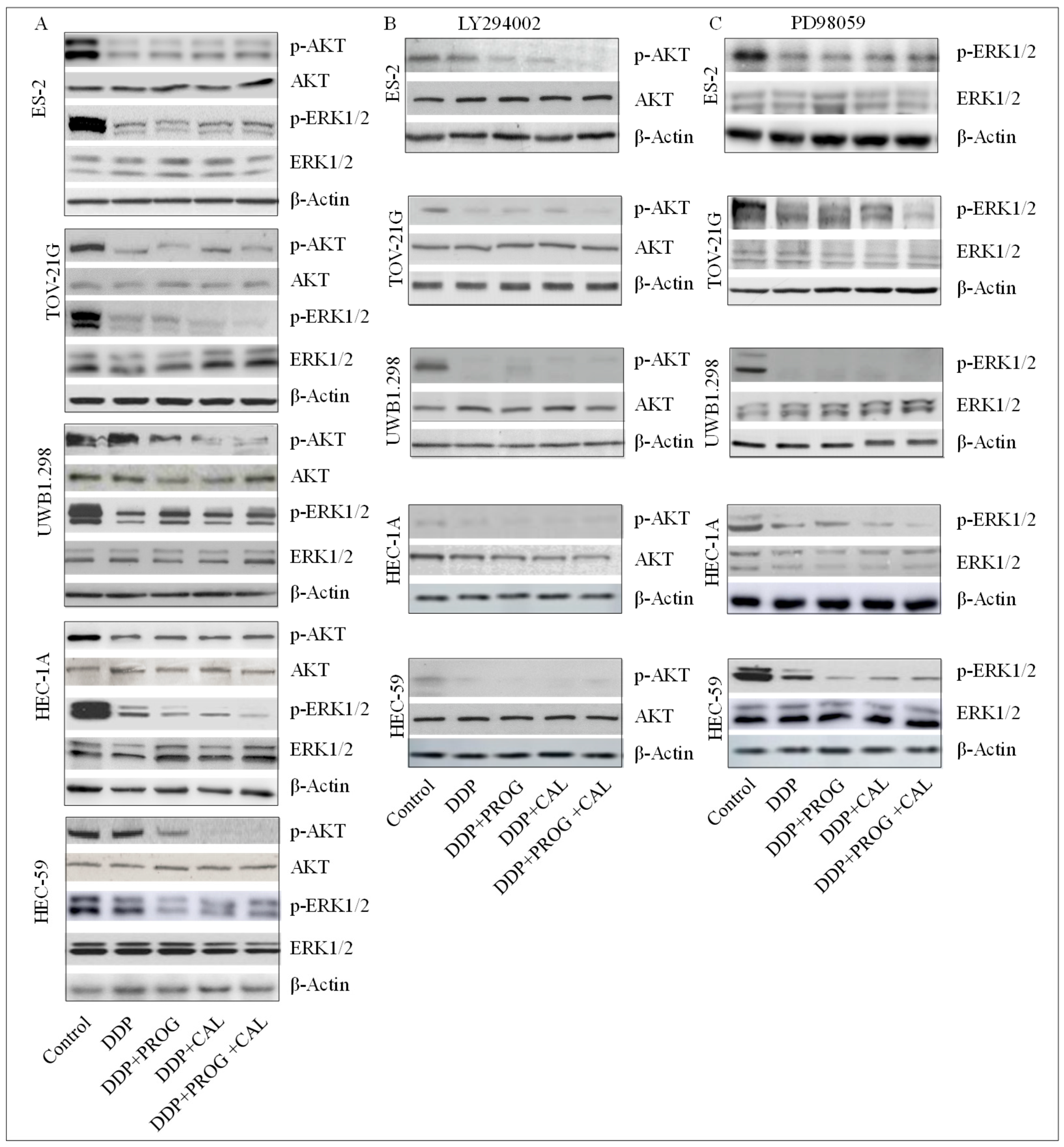 Biomedicines 08 00073 g004