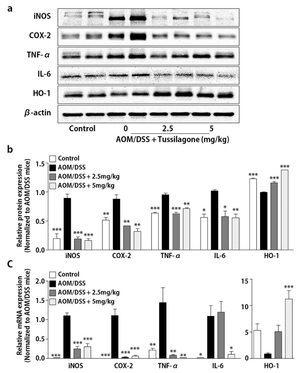 Biomedicines 08 00086 g002