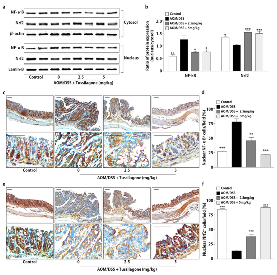 Biomedicines 08 00086 g003