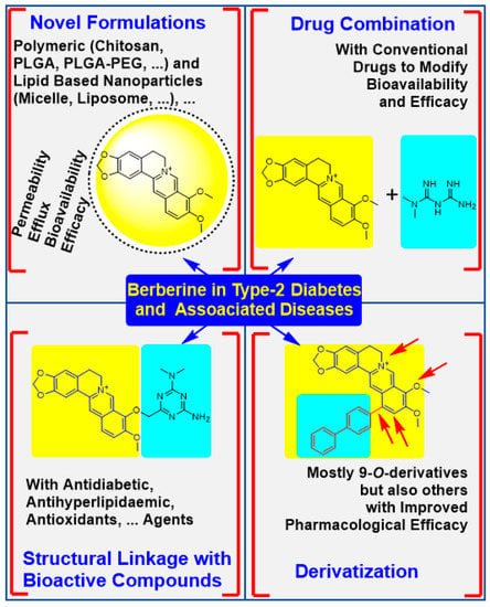 Biomedicines | Free Full-Text | The Quest to Enhance the Efficacy of  Berberine for Type-2 Diabetes and Associated Diseases: Physicochemical  Modification Approaches