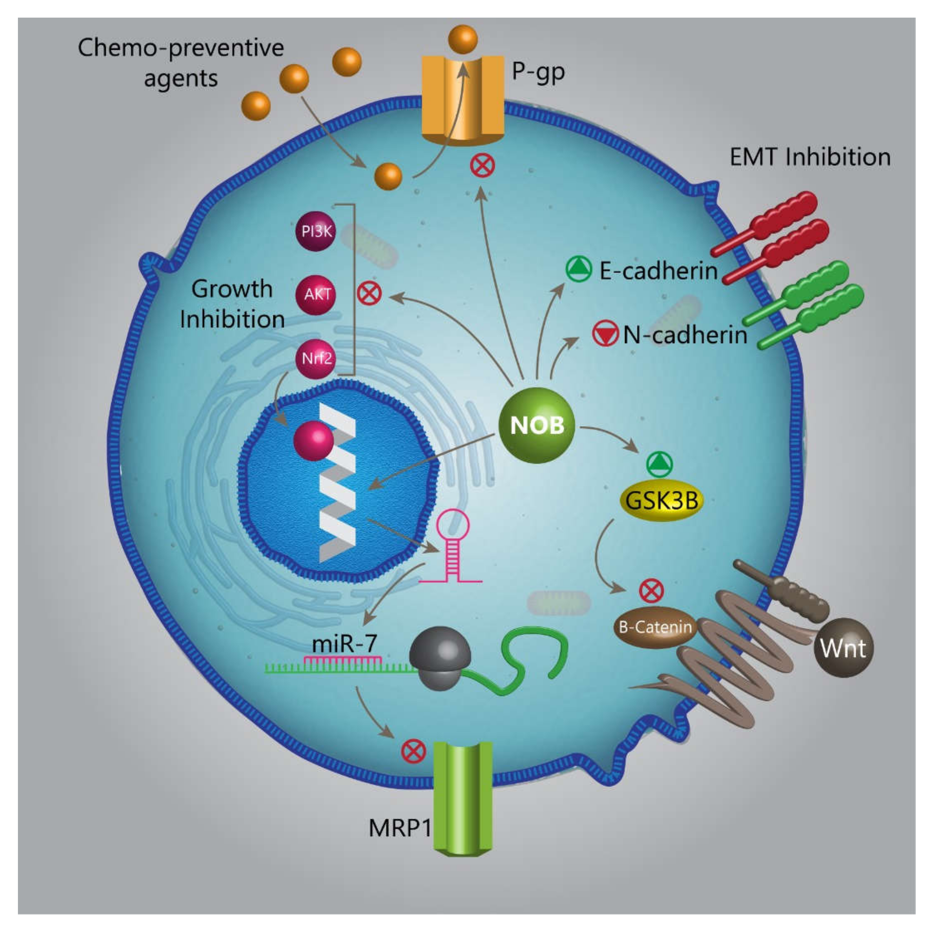Biomedicines 08 00110 g002 Biomedicines 08 00110 g002