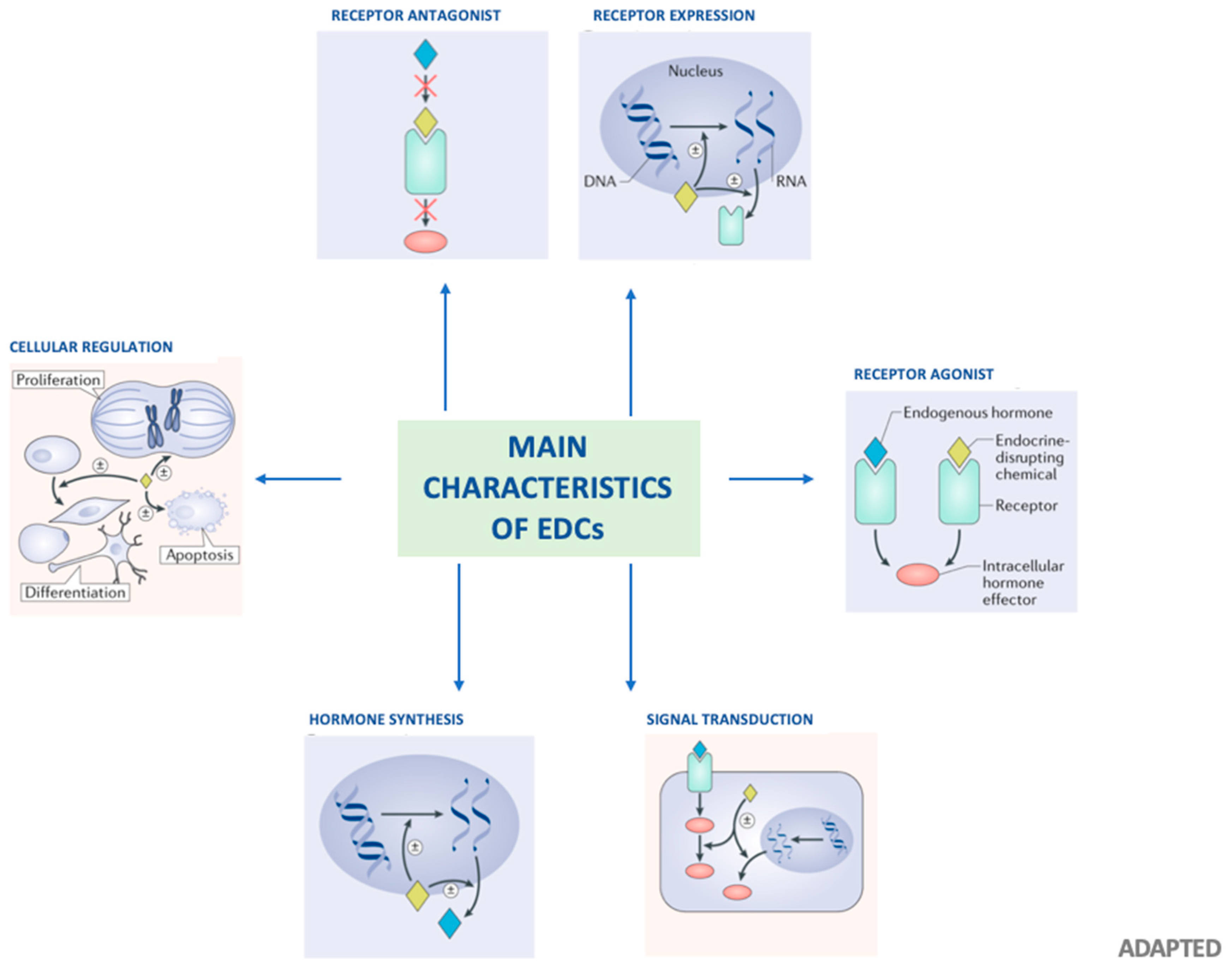 BPA-Free Does Not Mean Safe. Most Plastics Leach Hormone-Disrupting  Chemicals.