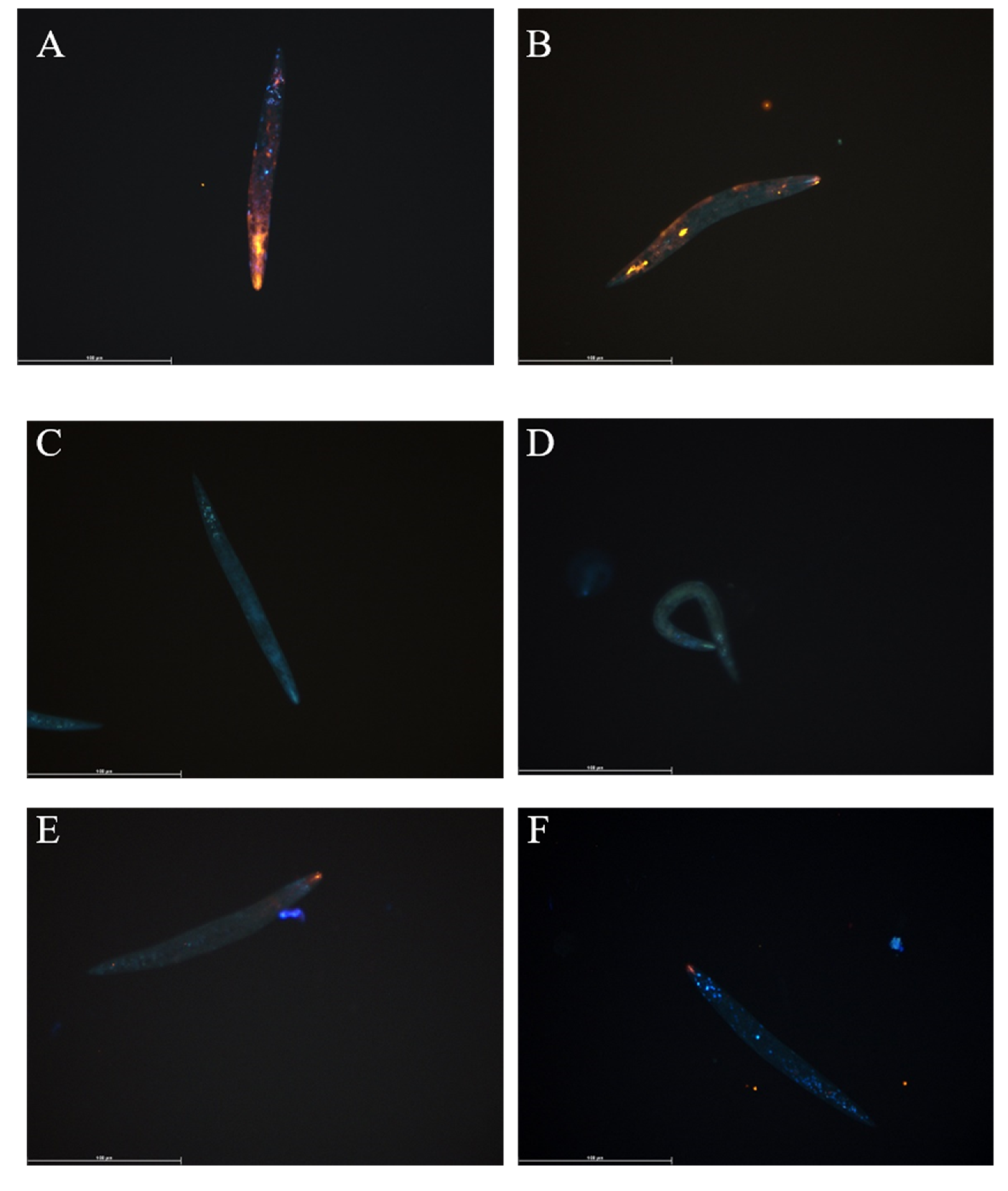 Biomedicines 08 00213 g001 Biomedicines 08 00213 g001