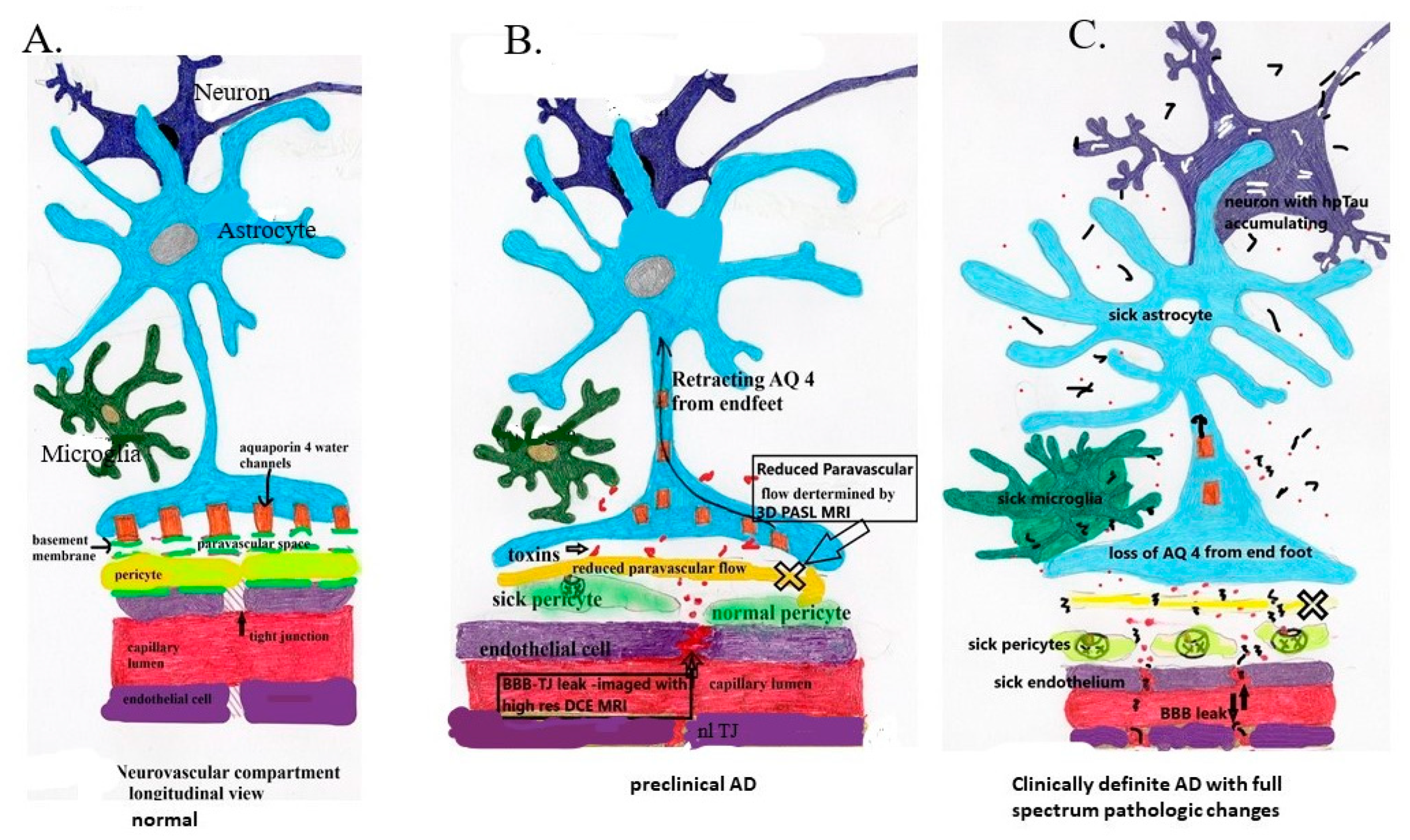 Biomedicines 08 00228 g002