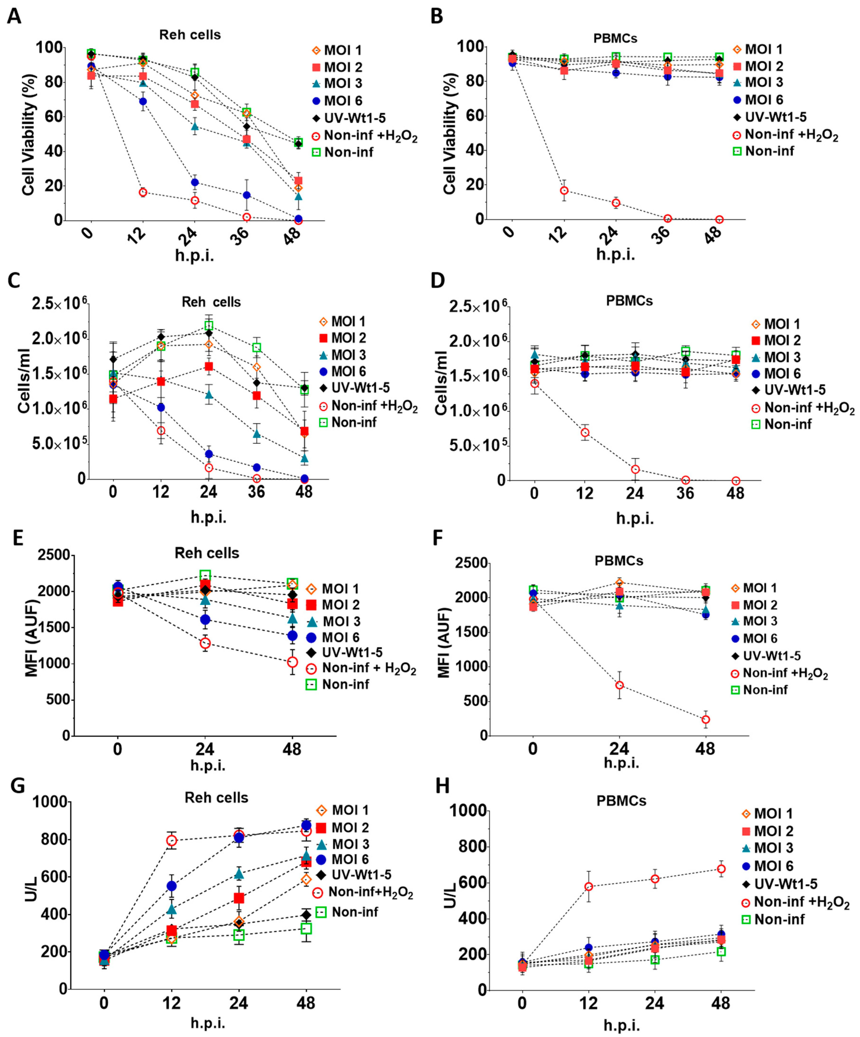 Biomedicines 08 00242 g002
