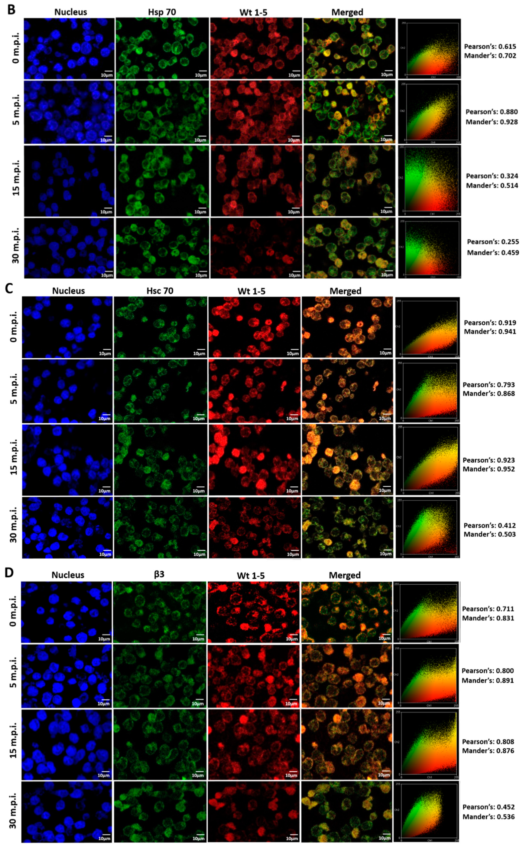 Biomedicines 08 00242 g007b