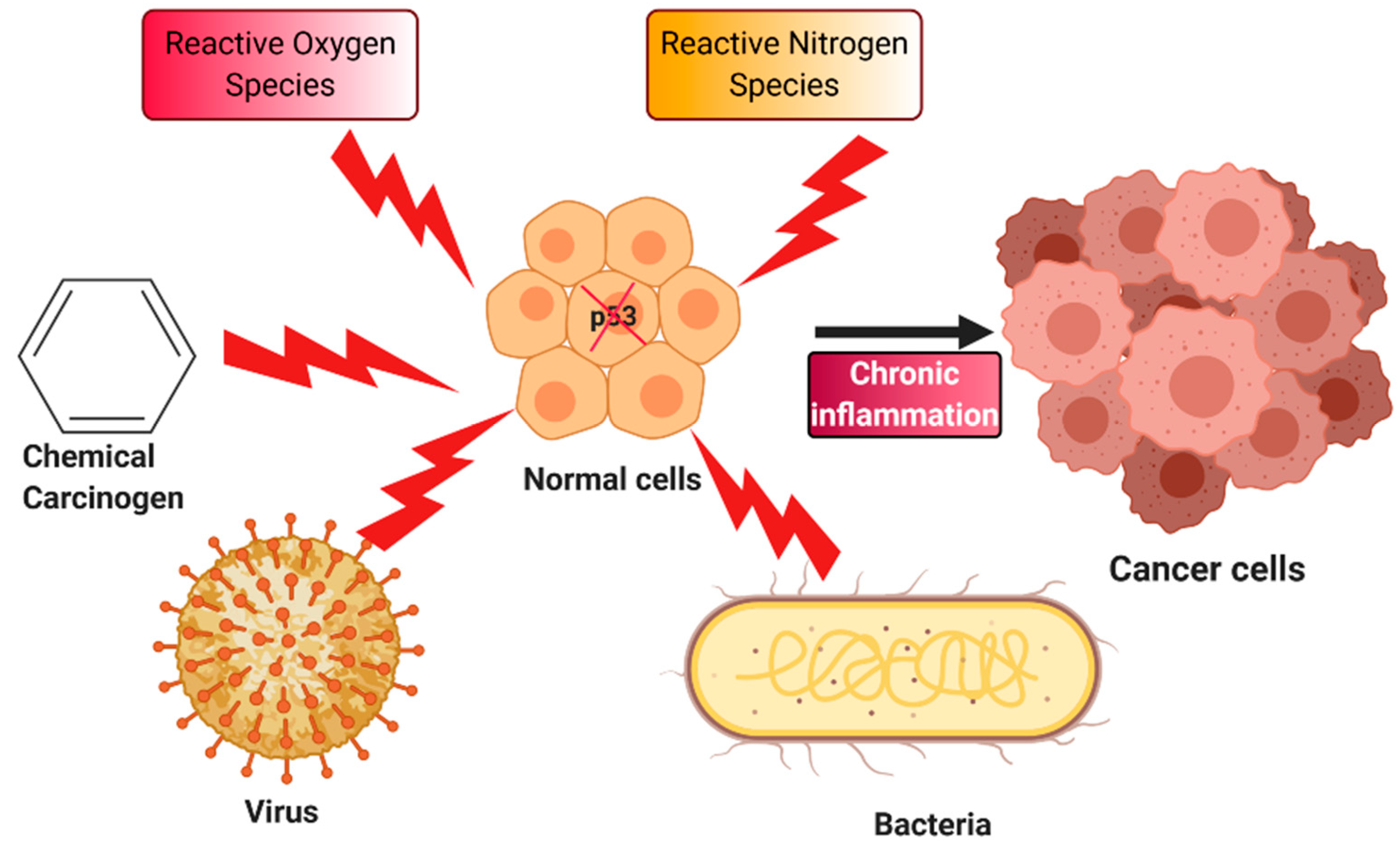 Biomedicines 08 00286 g002