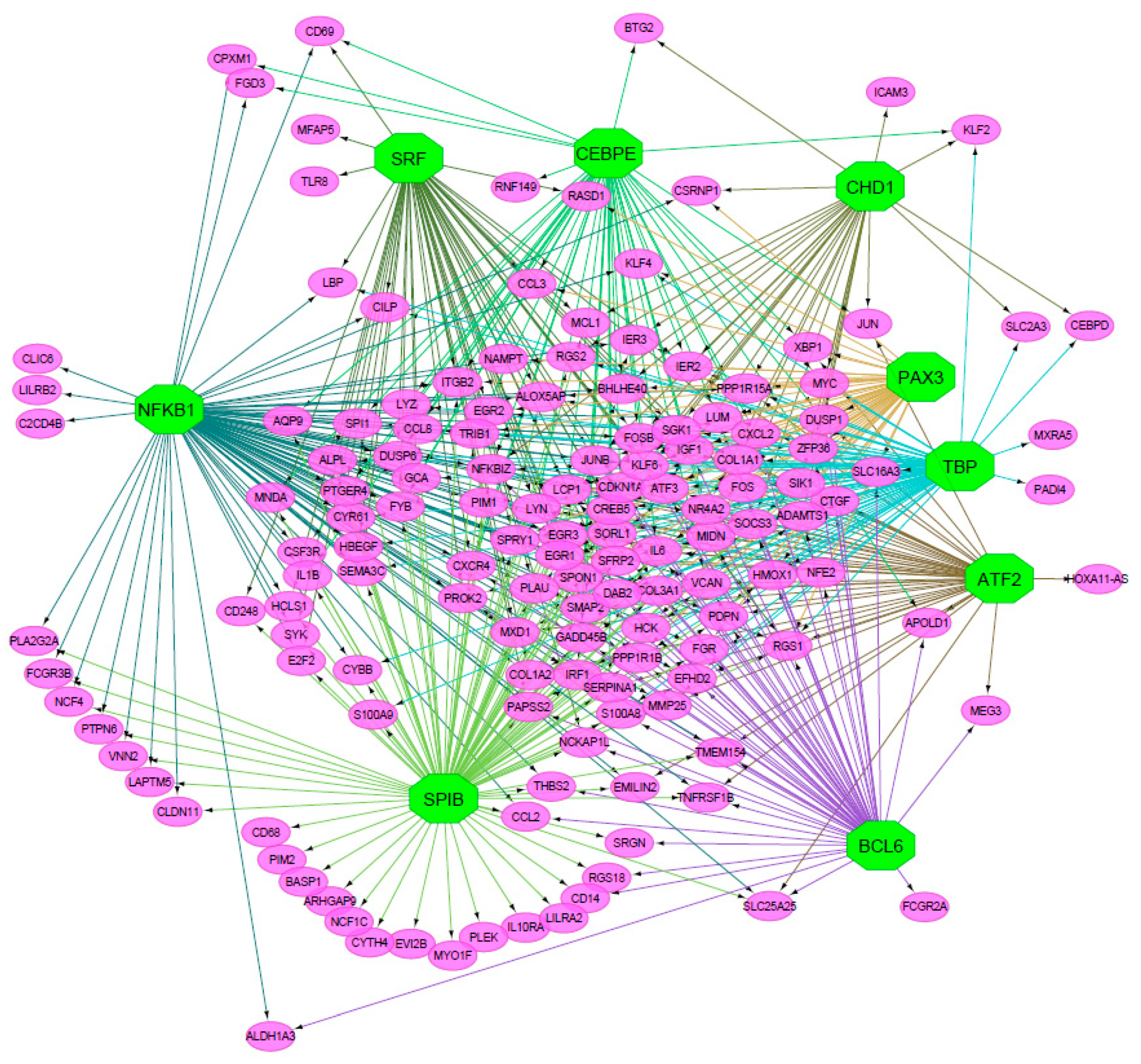Biomedicines 08 00288 g002