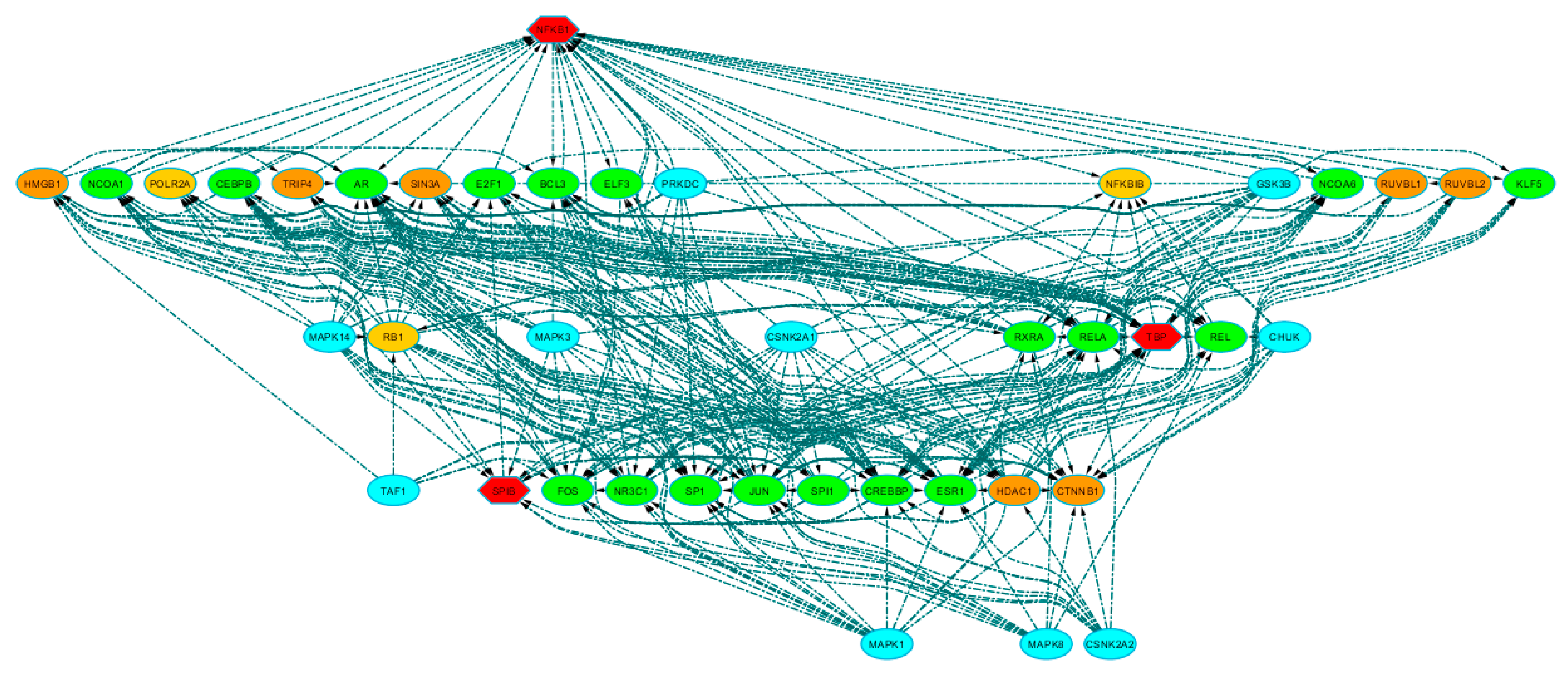 Biomedicines 08 00288 g003