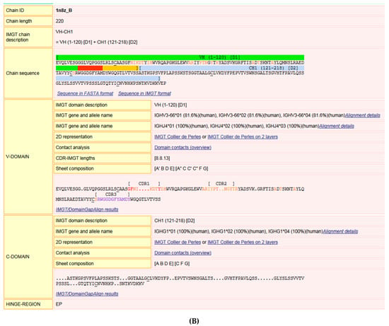 Biomedicines Free Full Text Immunoglobulins Or Antibodies Imgt Bridging Genes Structures And Functions Html