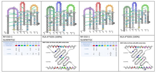 Biomedicines Free Full Text Immunoglobulins Or Antibodies Imgt Bridging Genes Structures And Functions Html