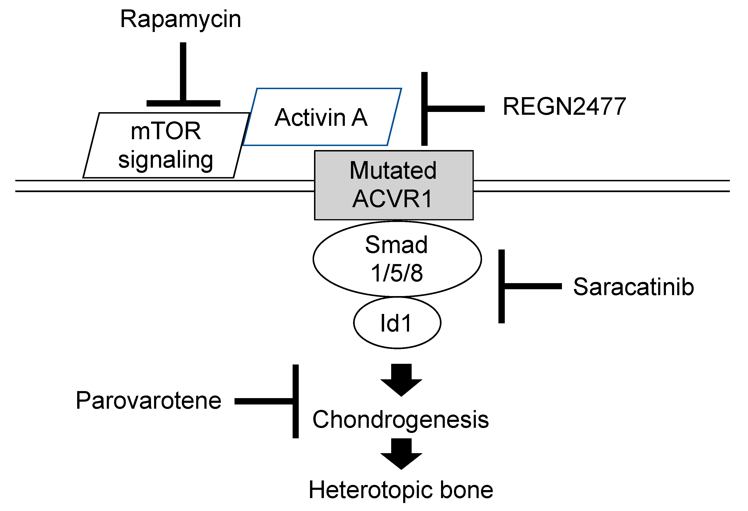 Biomedicines 08 00325 g009