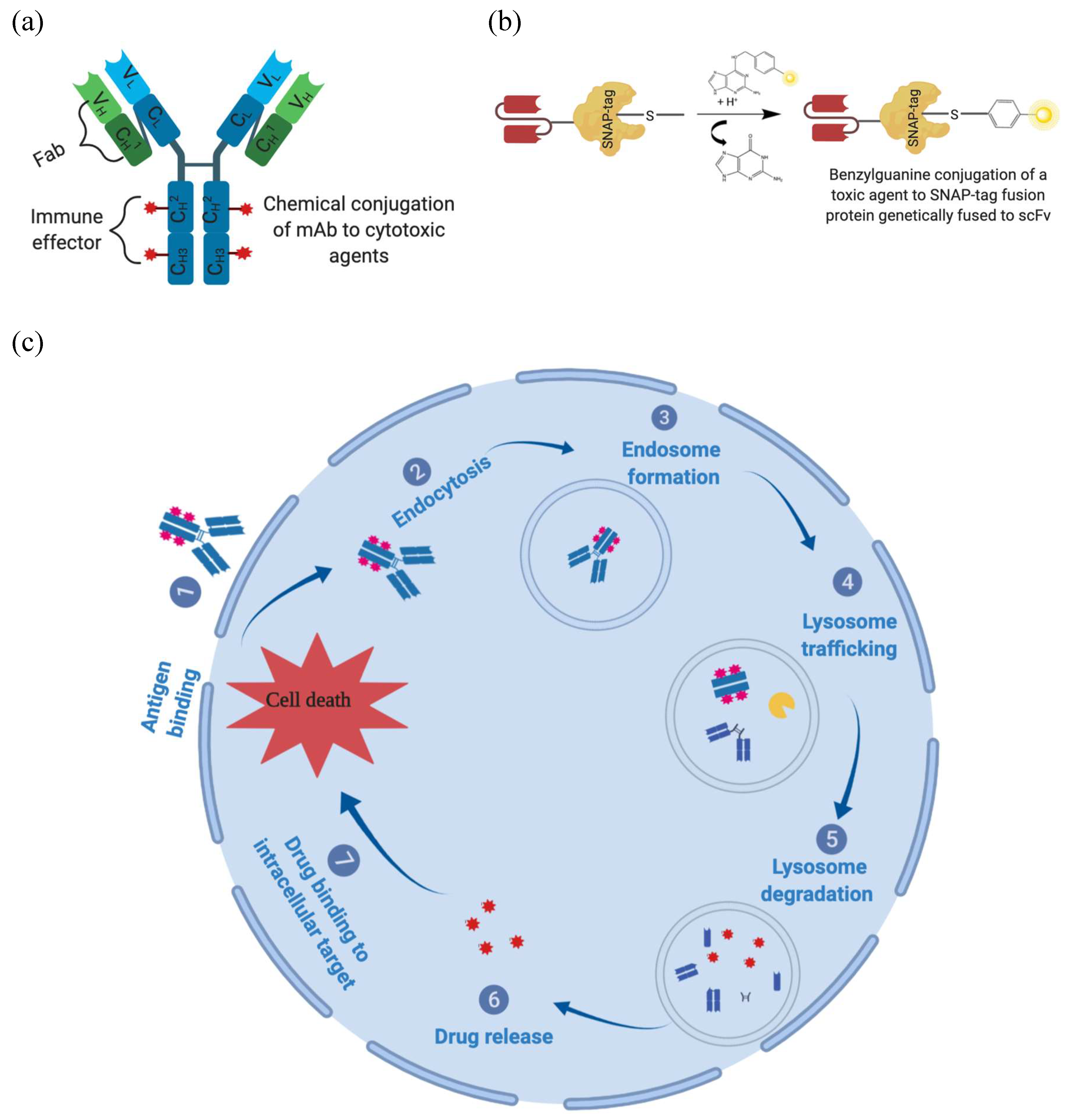 Biomedicines 08 00327 g004