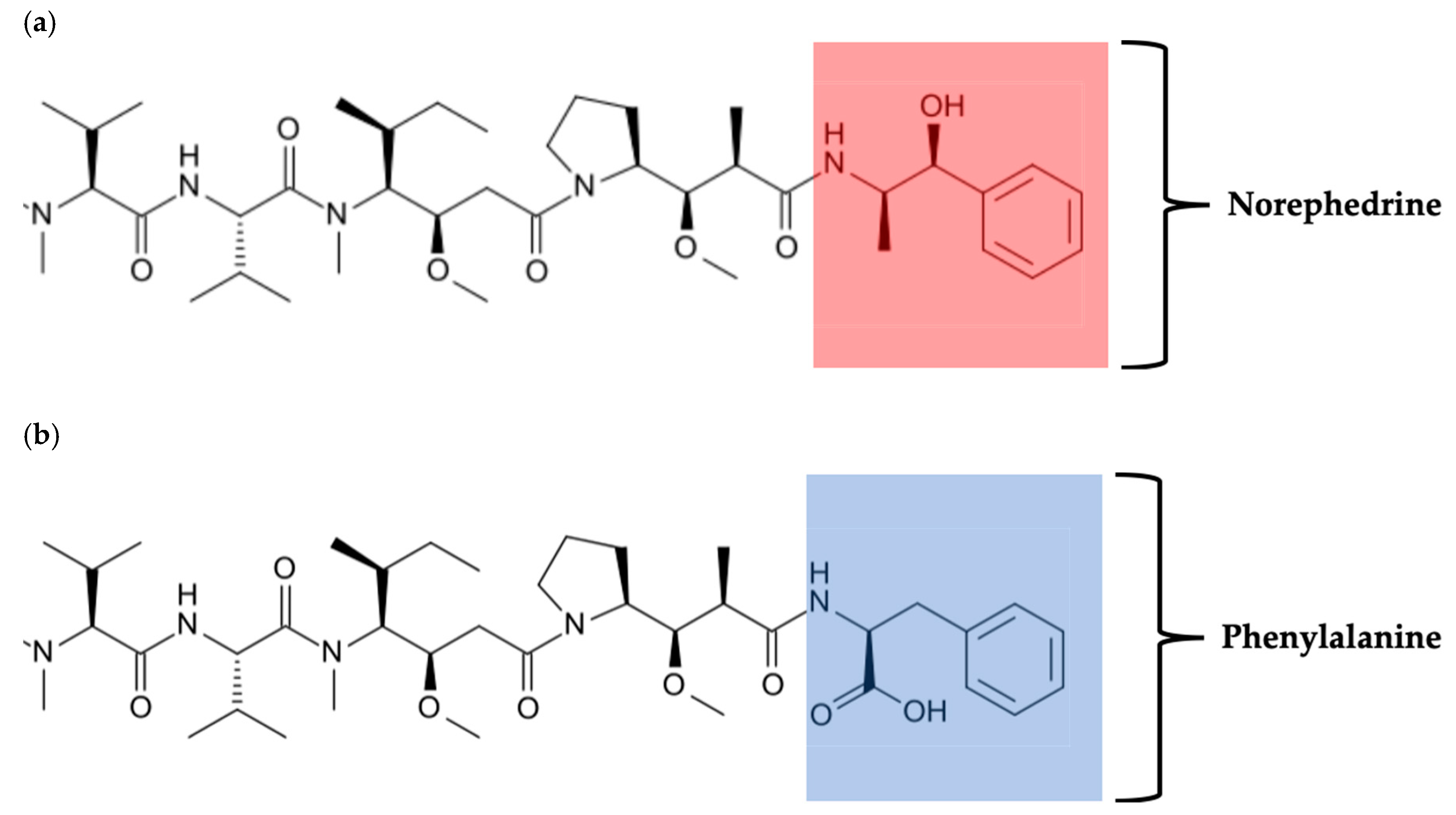 Biomedicines 08 00327 g005