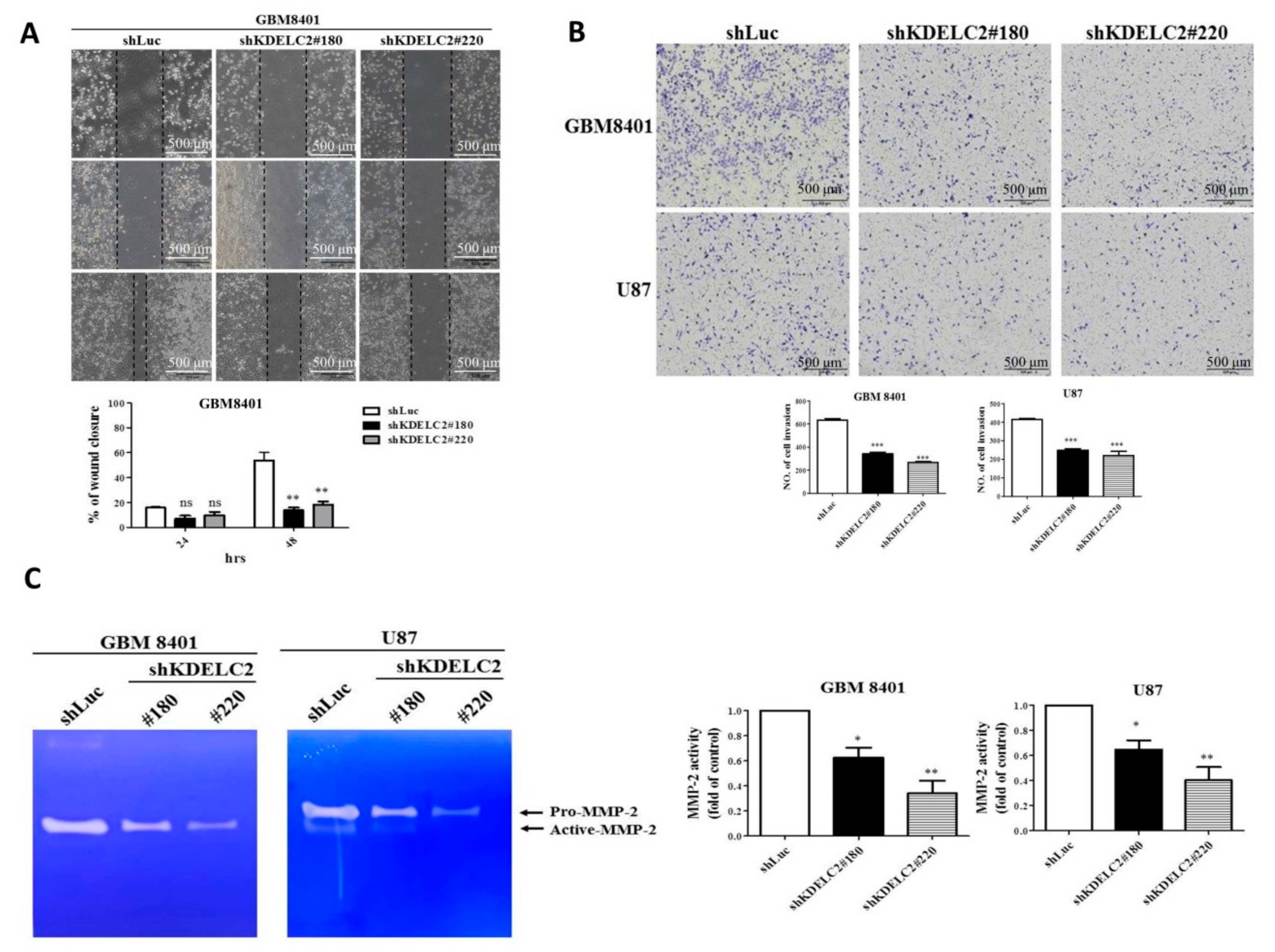 Biomedicines 08 00339 g005 Biomedicines 08 00339 g005