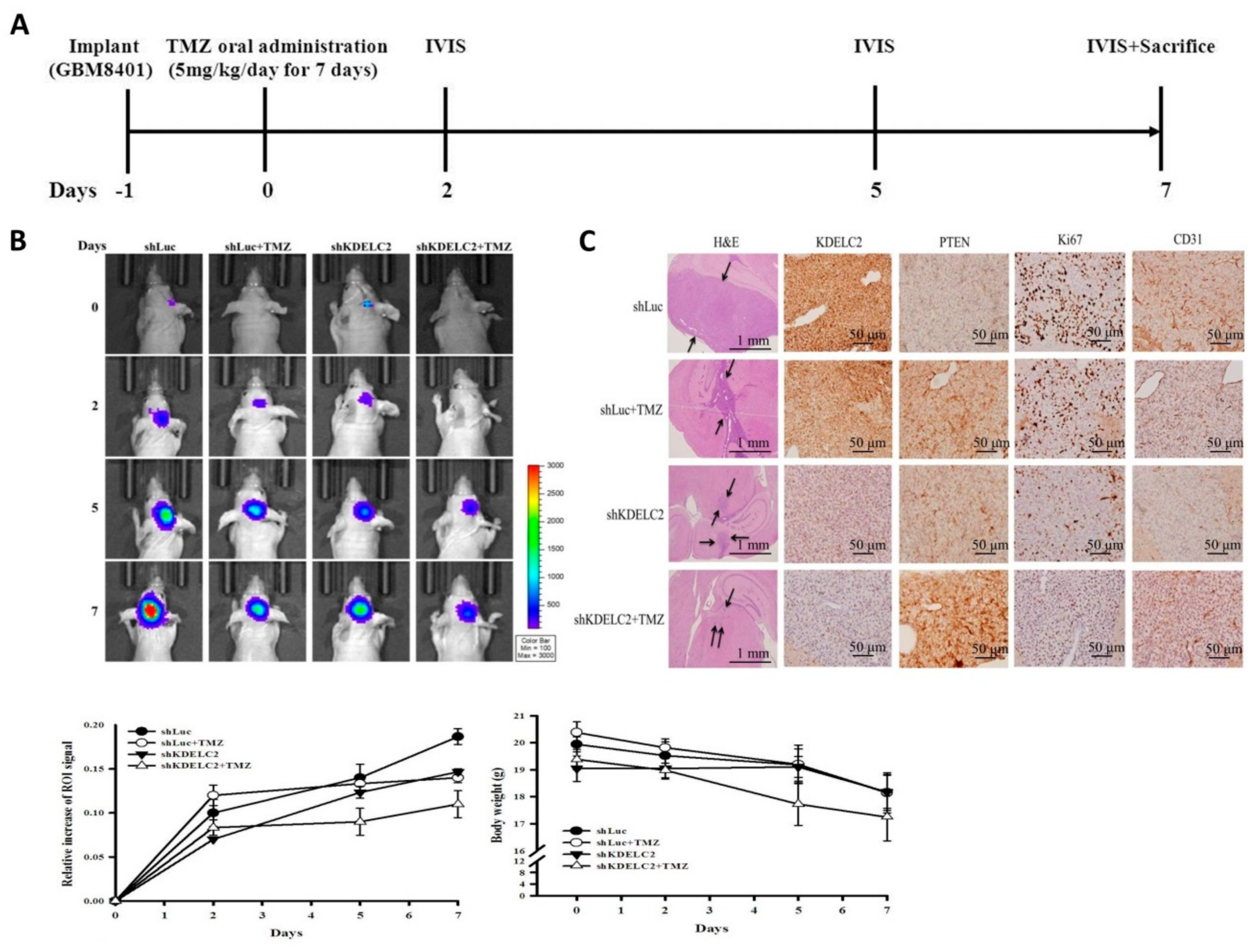 Biomedicines 08 00339 g011 Biomedicines 08 00339 g011