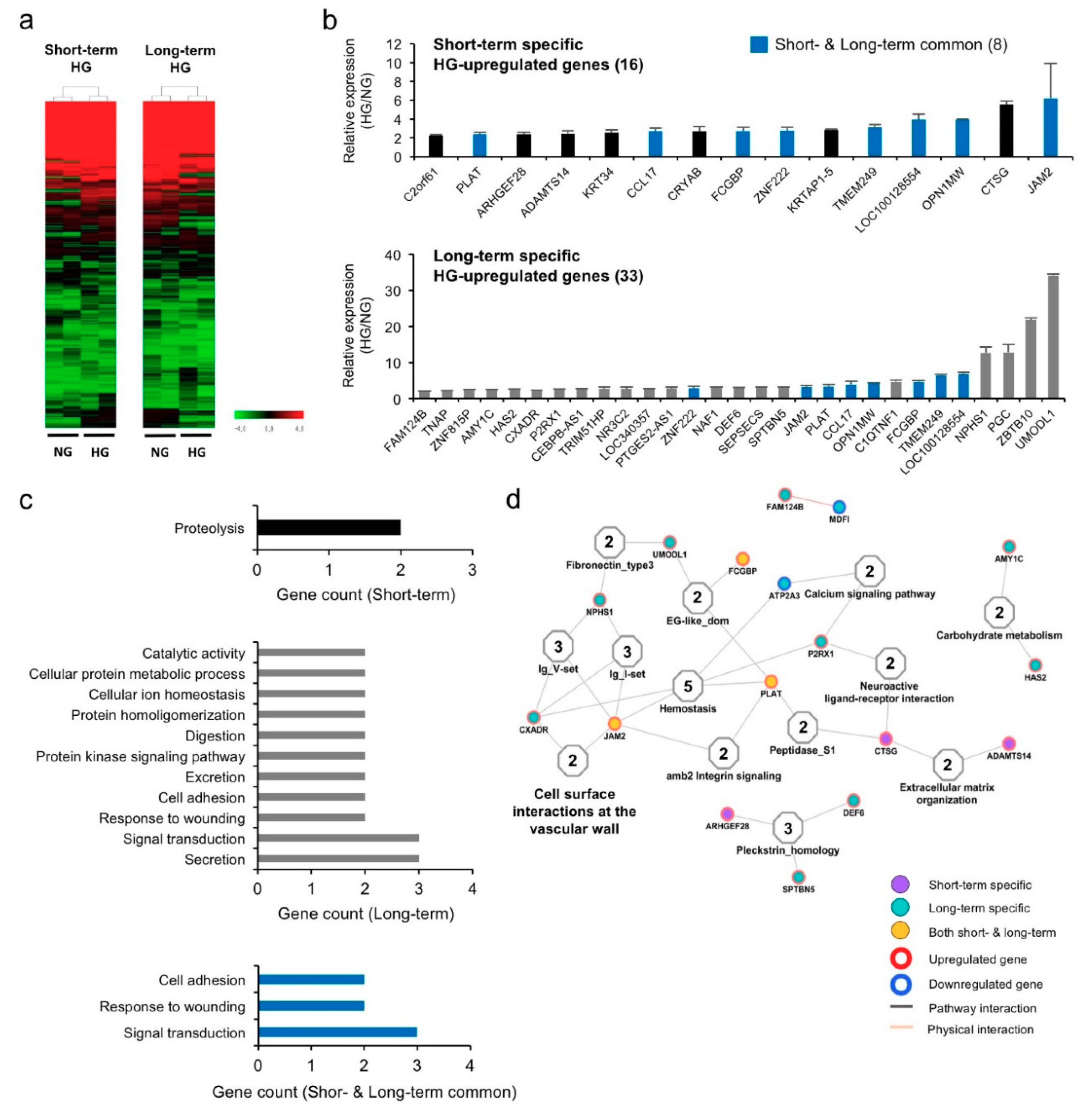 Biomedicines 08 00346 g002 Biomedicines 08 00346 g002