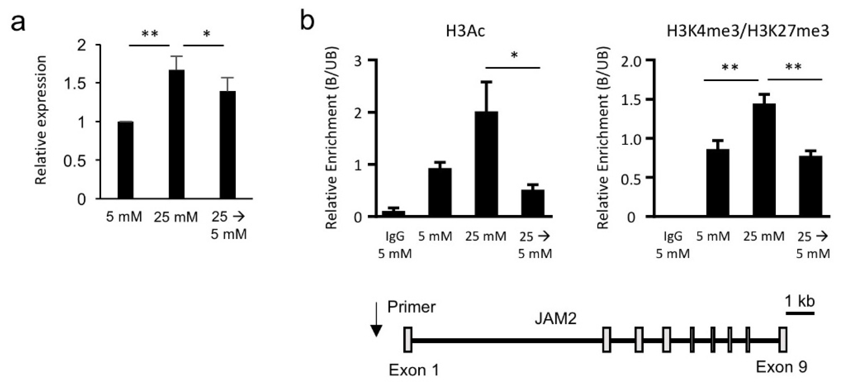 Biomedicines 08 00346 g003 Biomedicines 08 00346 g003