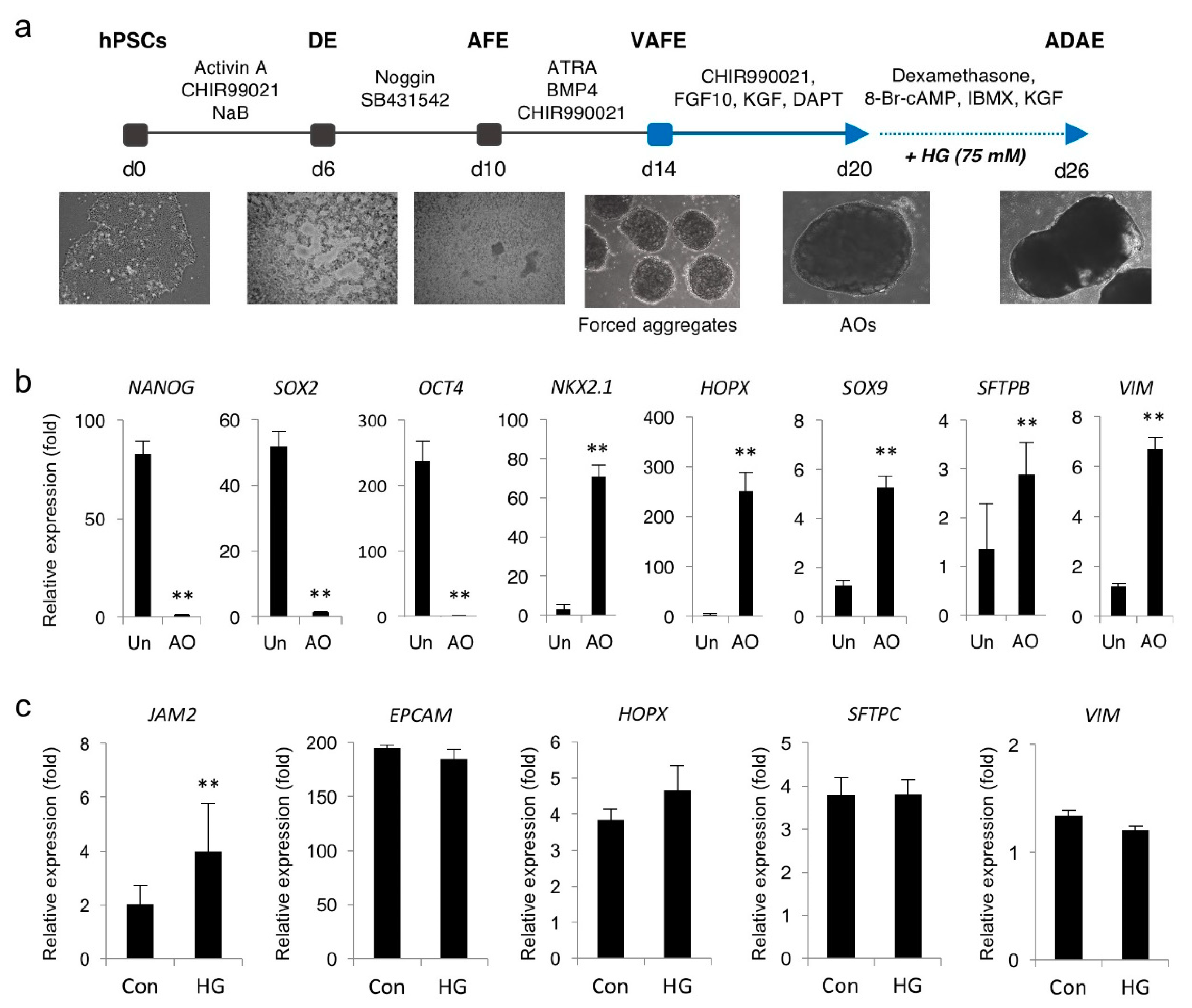 Biomedicines 08 00346 g005 Biomedicines 08 00346 g005