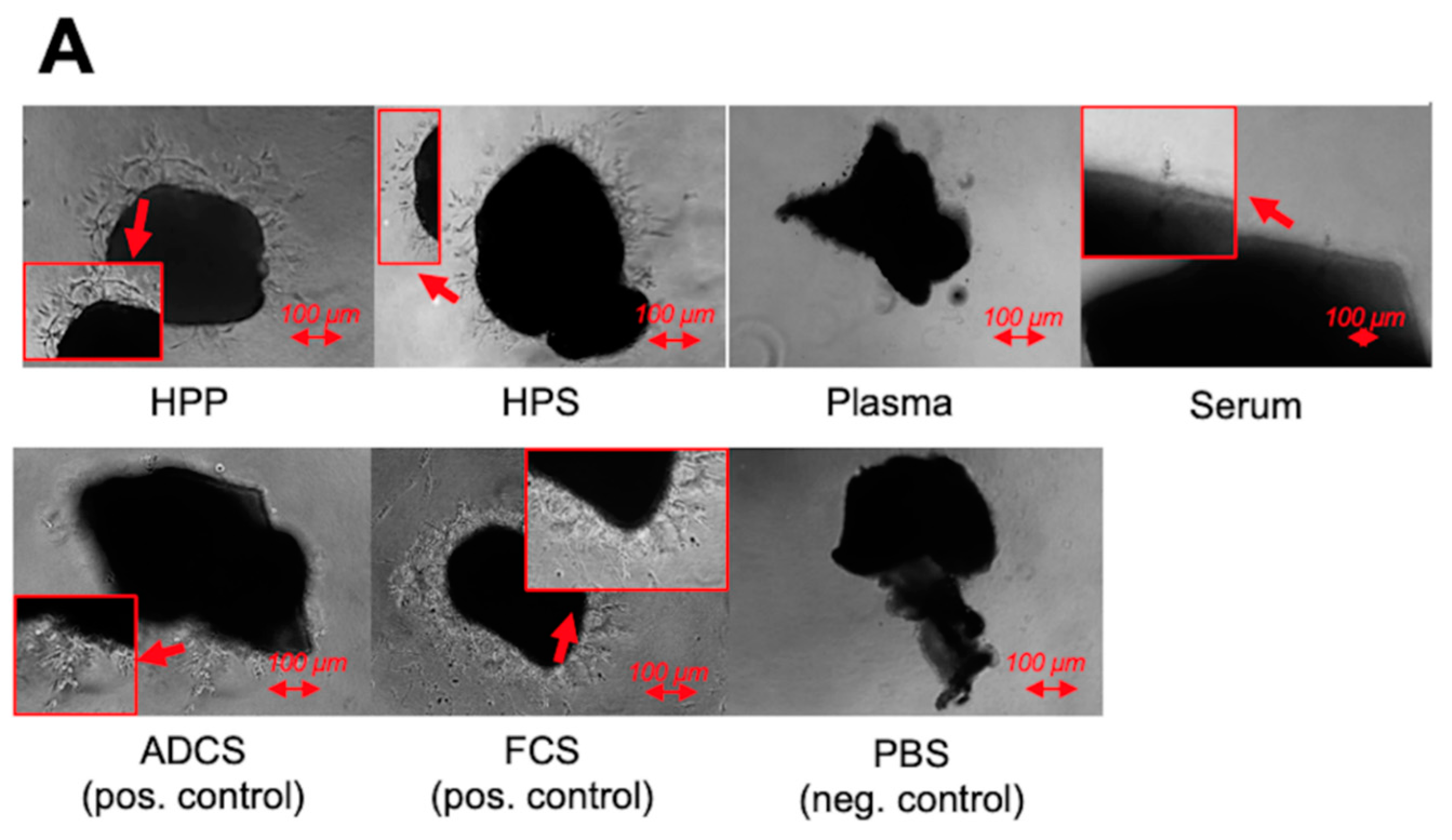 Biomedicines 08 00365 g005a