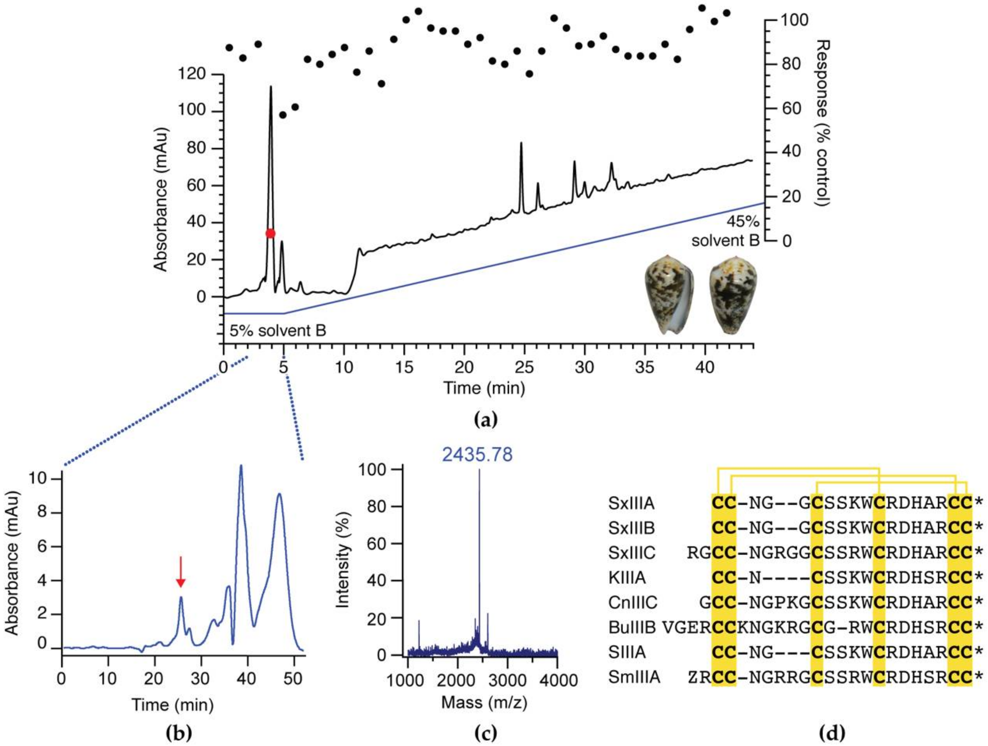 Biomedicines 08 00391 g001