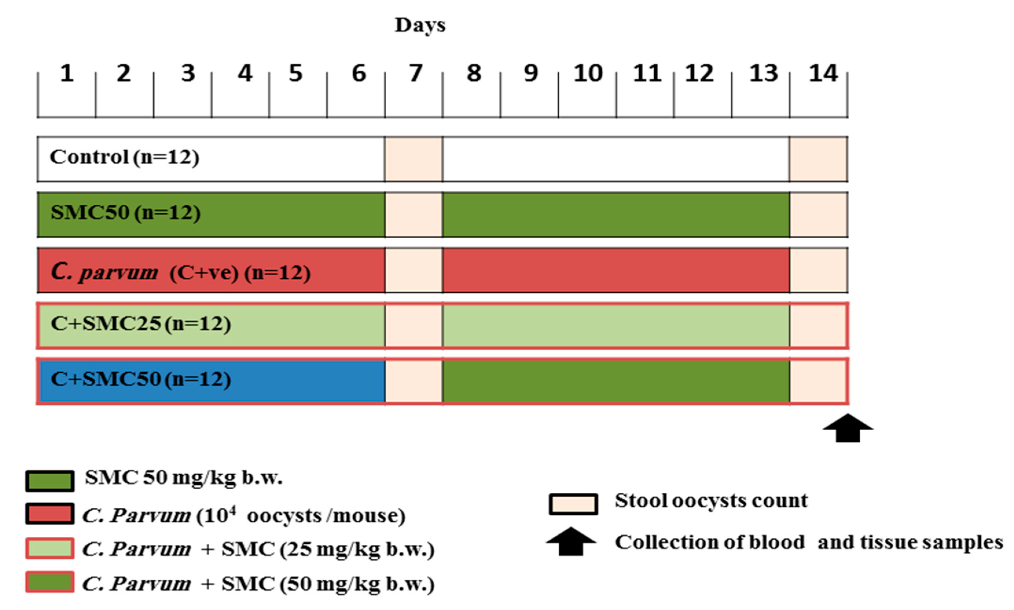 Biomedicines Free Full Text S Methylcysteine Smc Ameliorates Intestinal Hepatic And Splenic Damage Induced By Cryptosporidium Parvum Infection Via Targeting Inflammatory Modulators And Oxidative Stress In Swiss Albino Mice Html