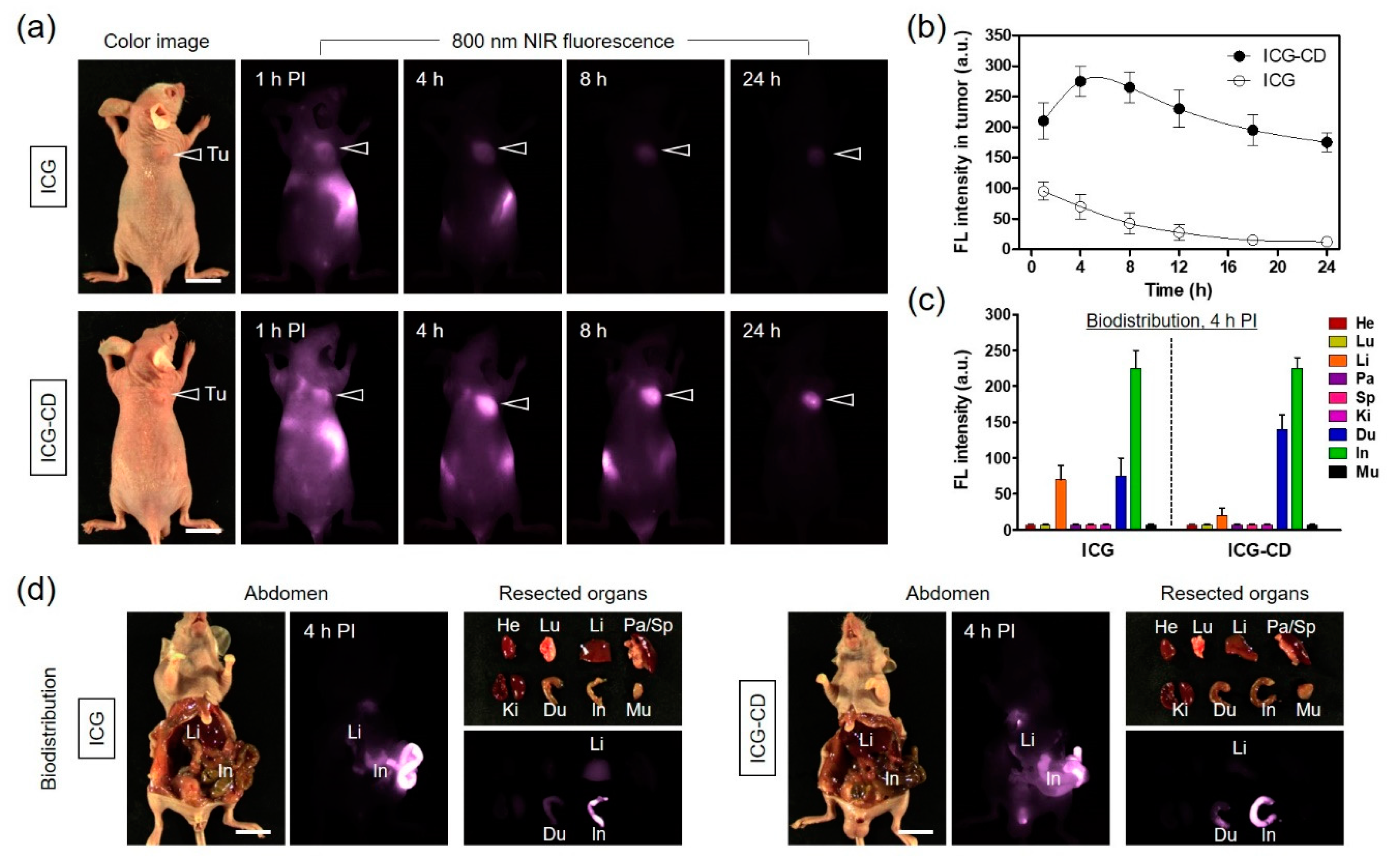 Biomedicines 08 00476 g004