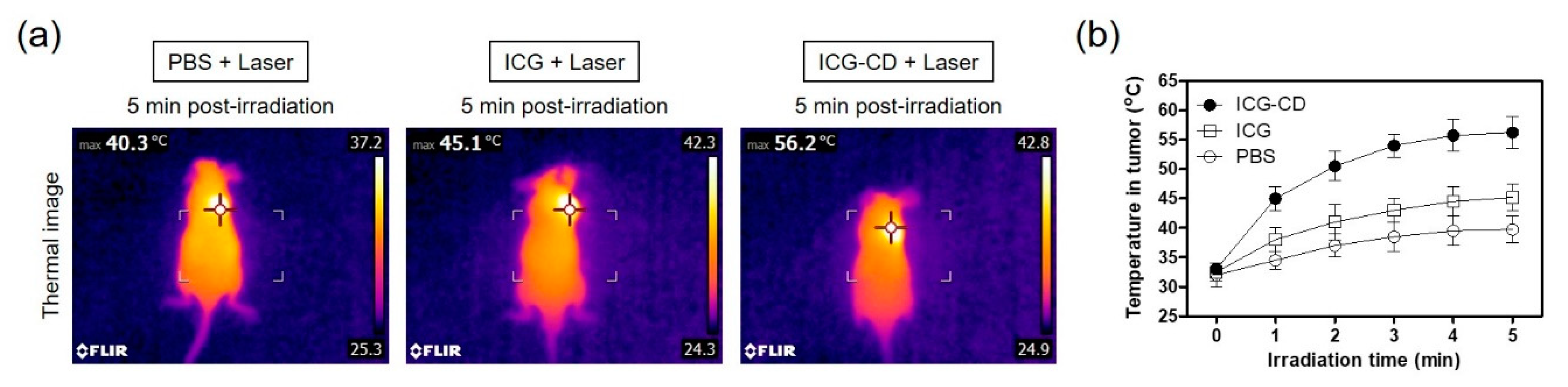 Biomedicines 08 00476 g005