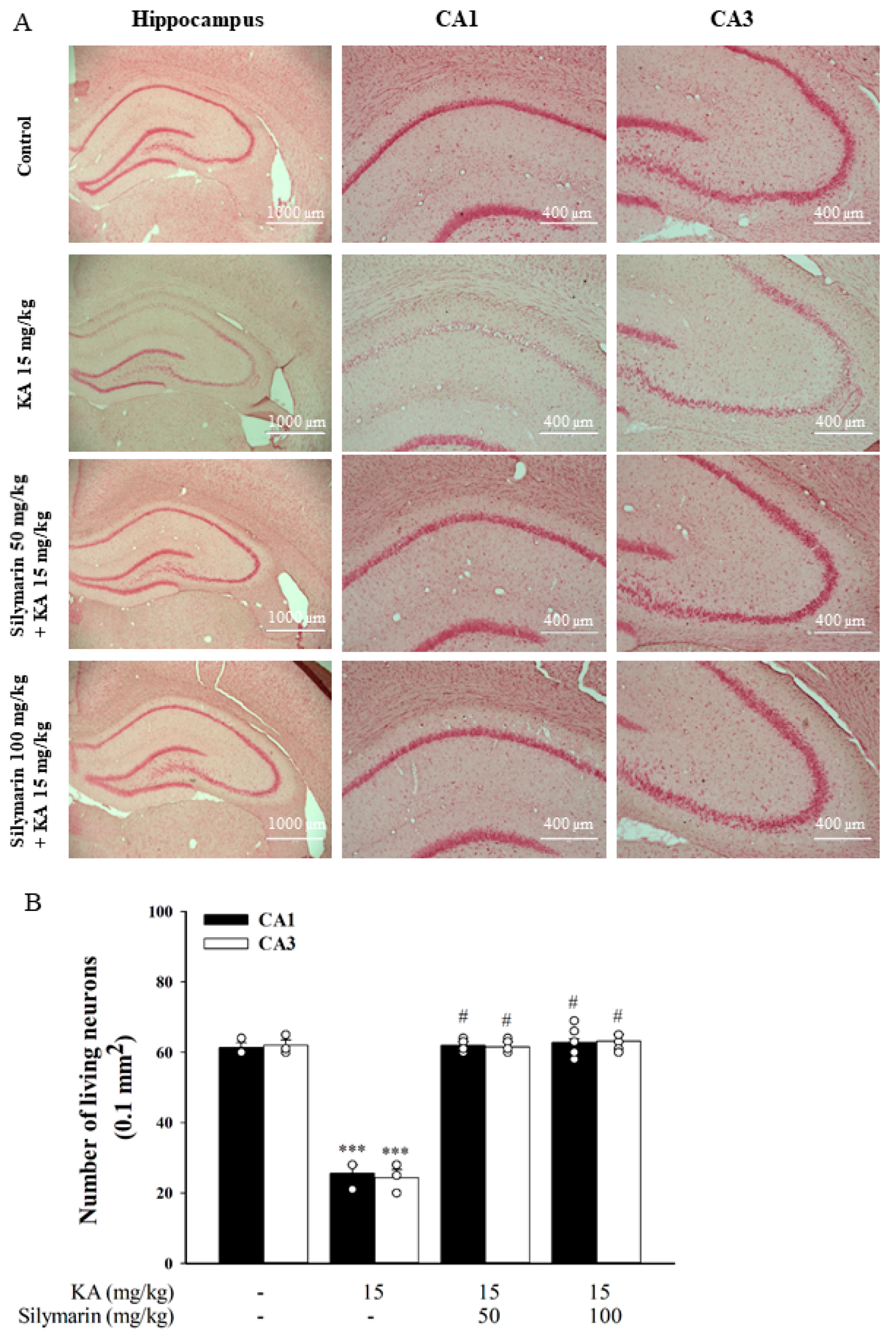 Biomedicines 08 00486 g007