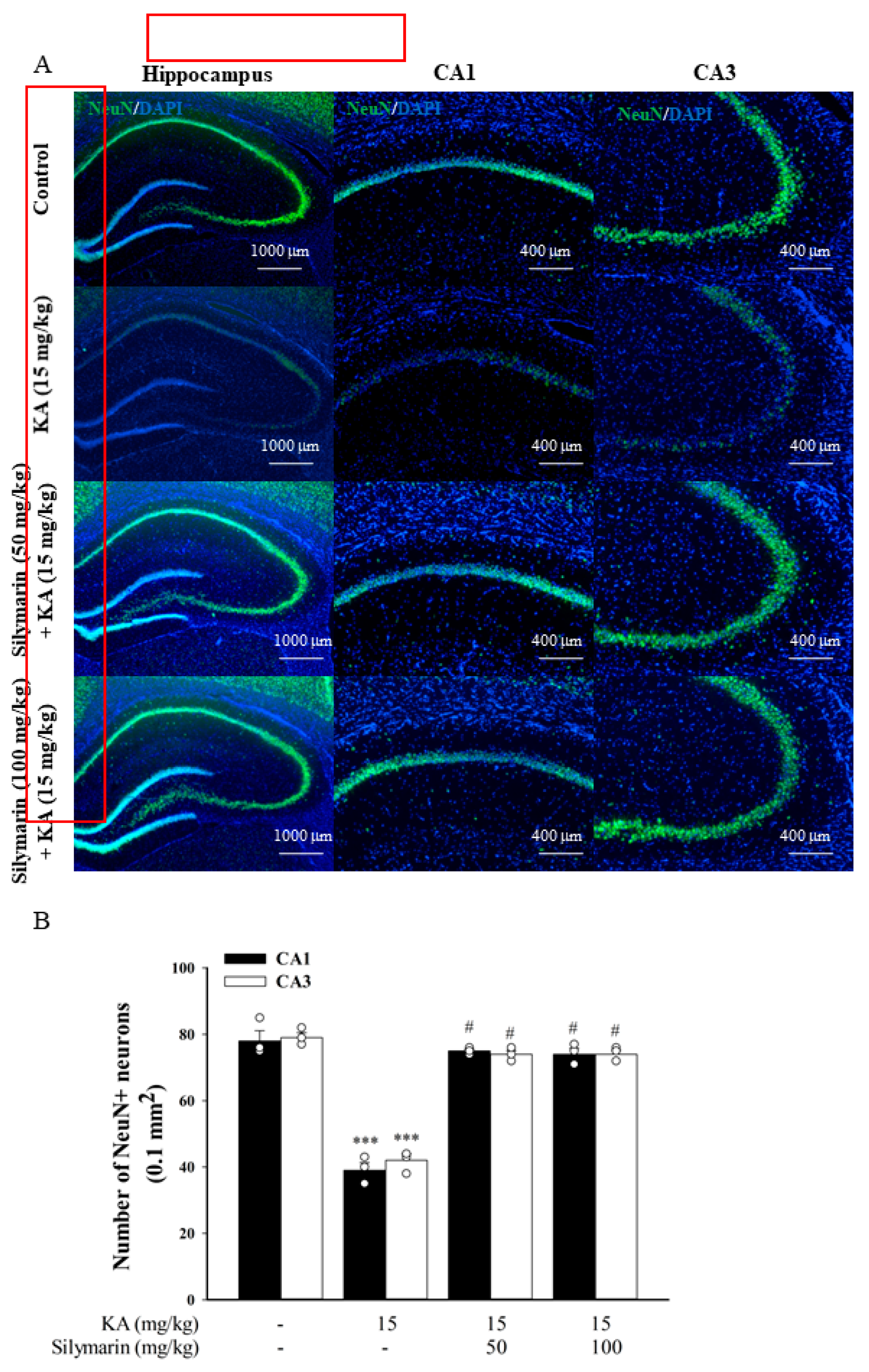 Biomedicines 08 00486 g008