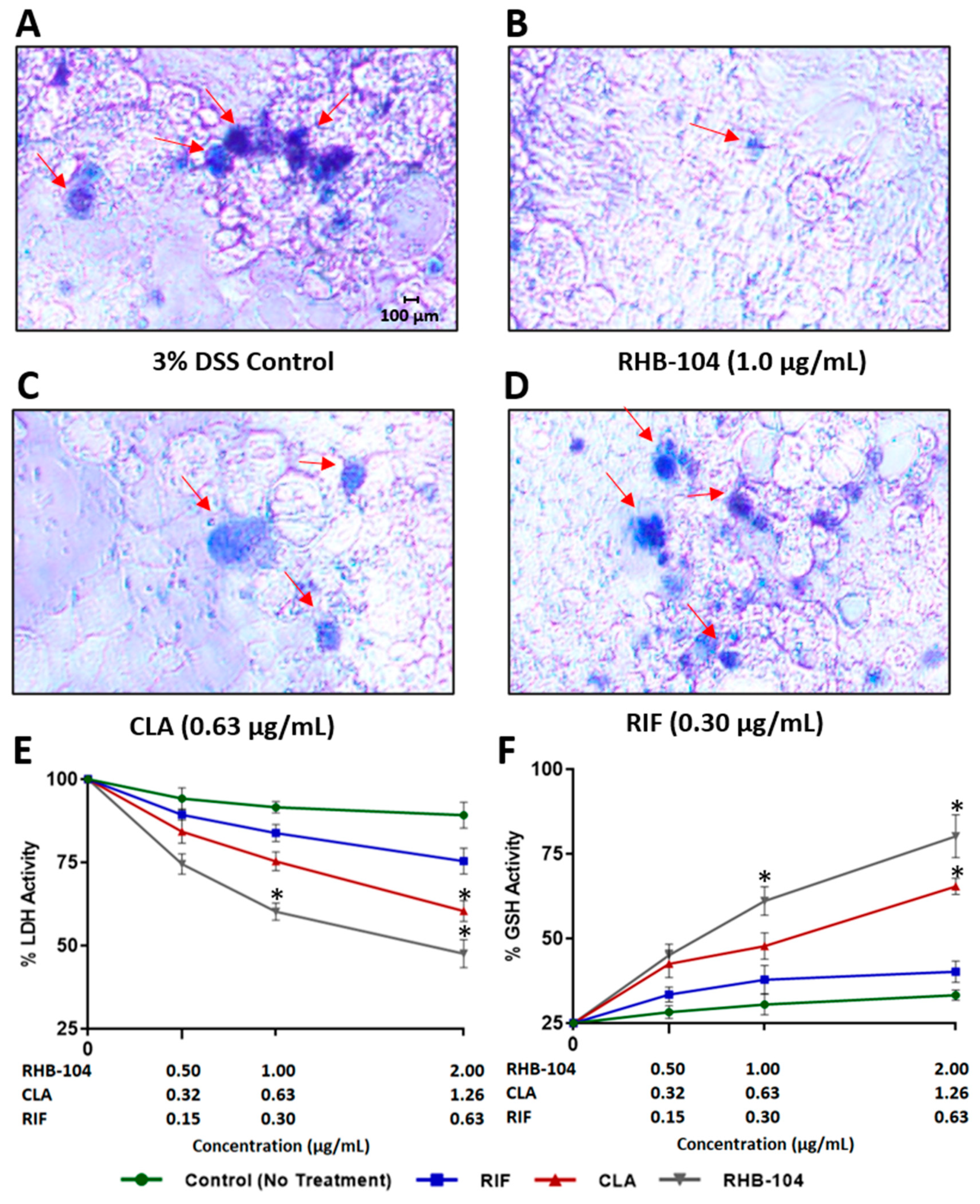 Biomedicines 08 00513 g007