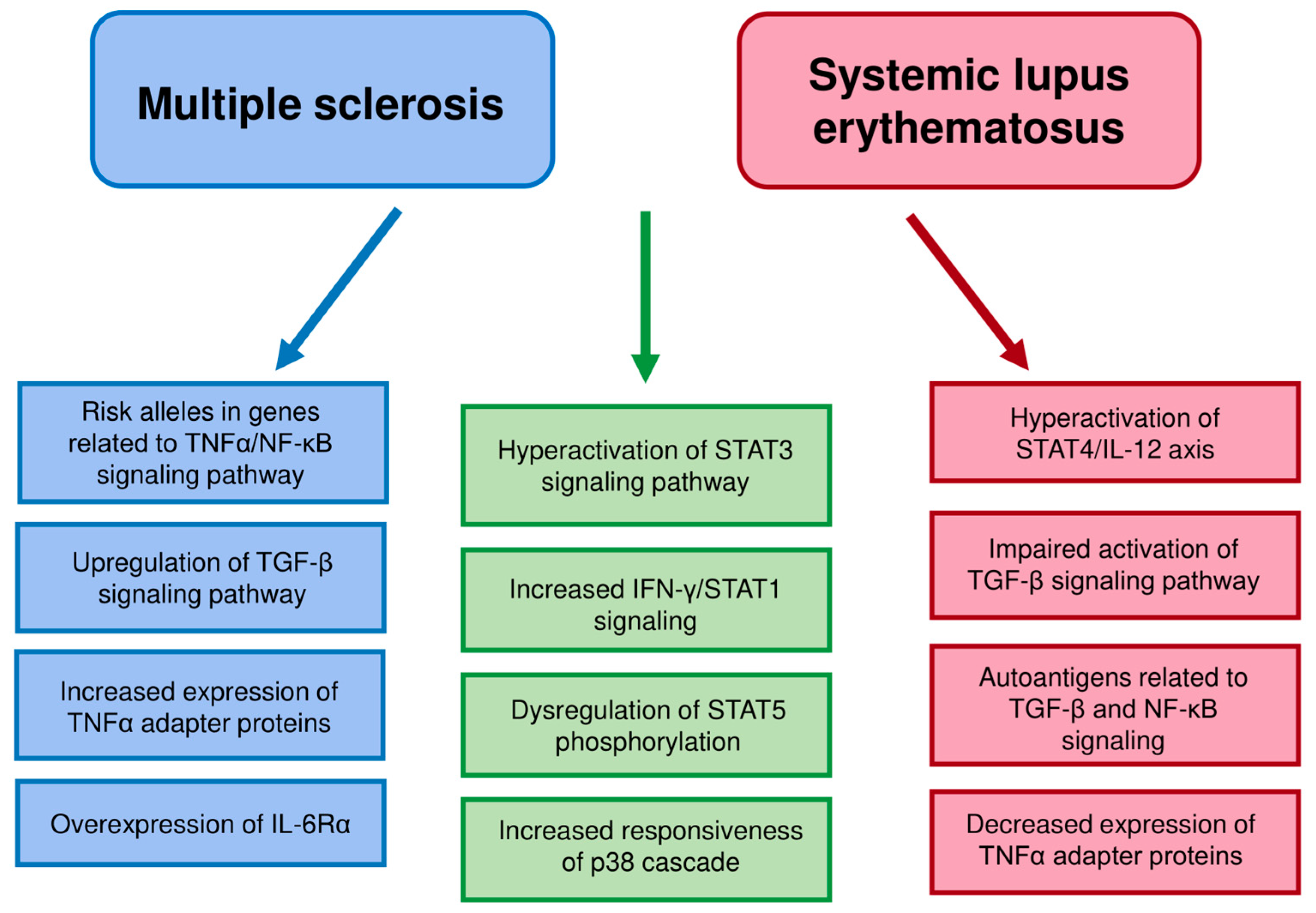 Biomedicines 08 00559 g001