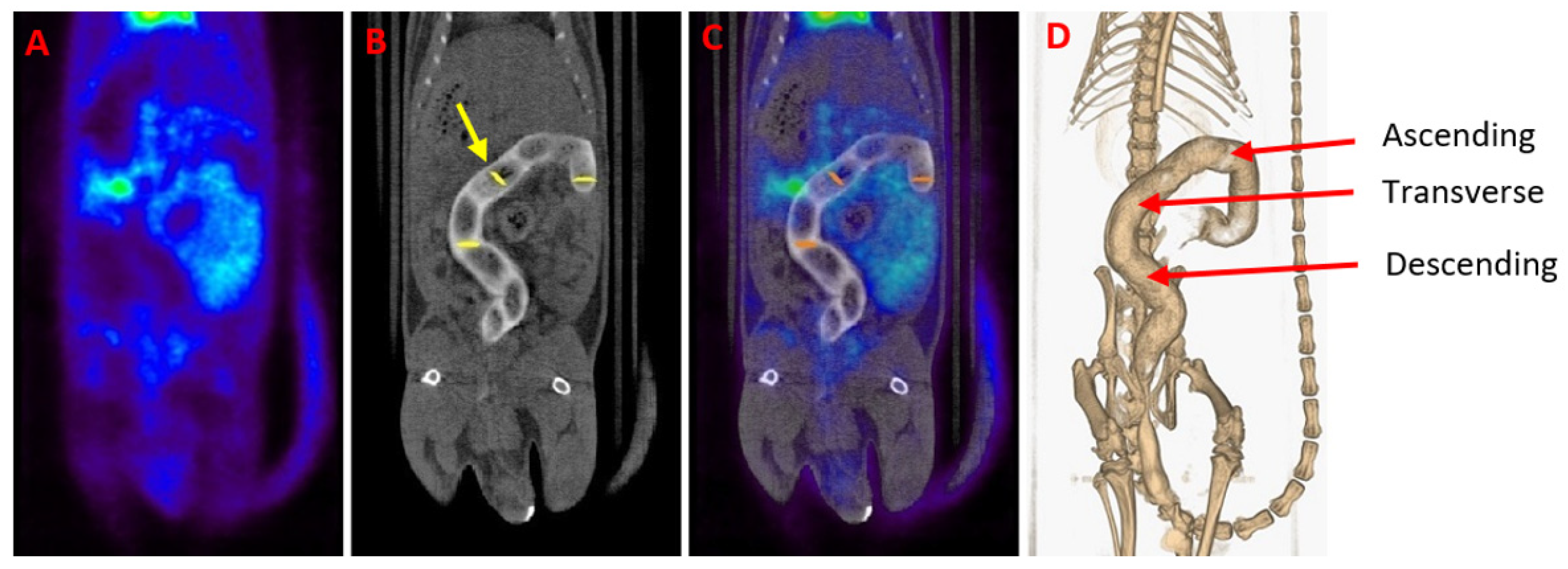 Biomedicines 08 00563 g005 Biomedicines 08 00563 g005