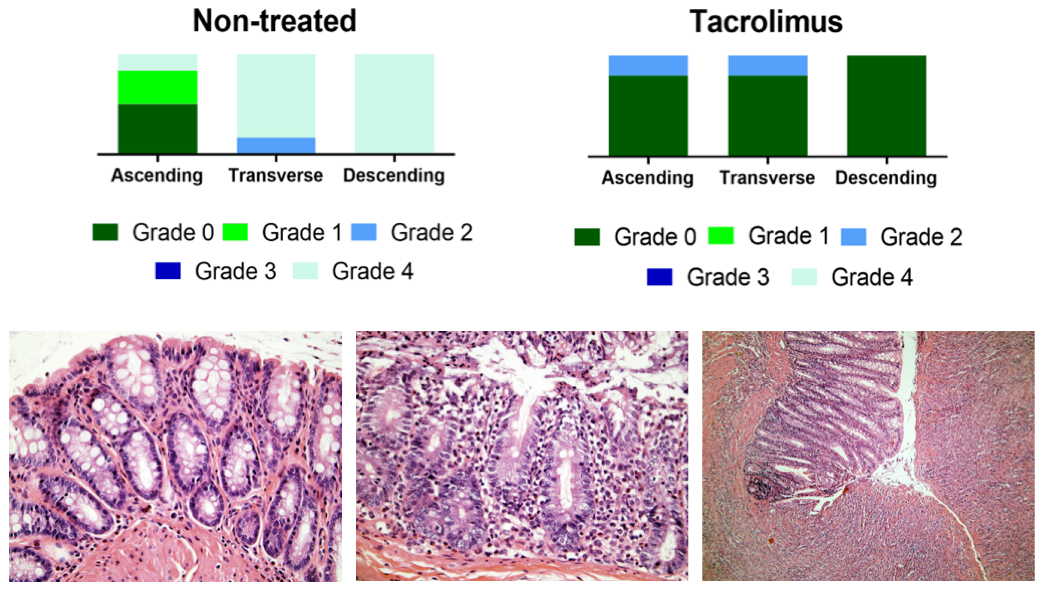 Biomedicines 08 00563 g010 Biomedicines 08 00563 g010