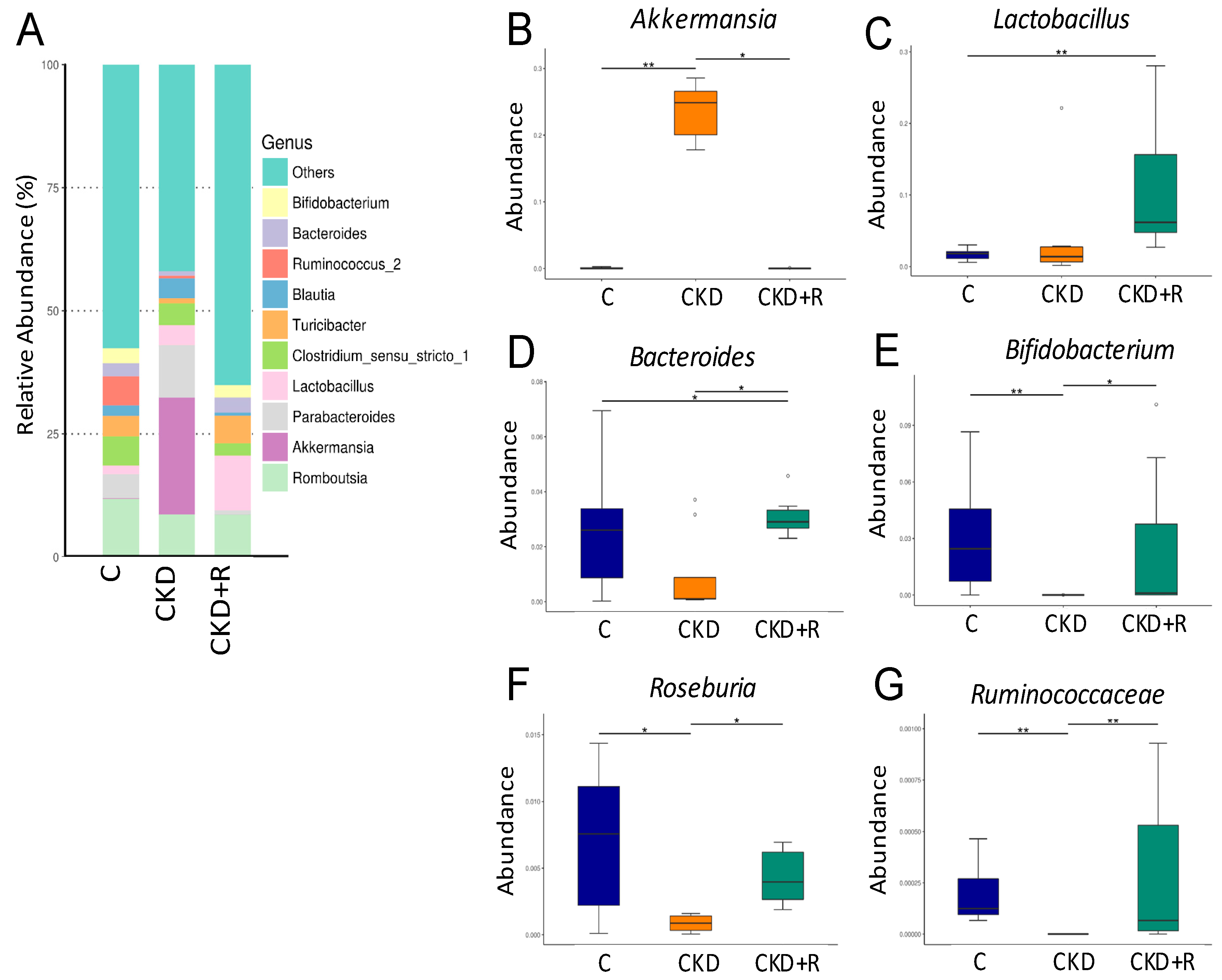 Biomedicines 08 00567 g004