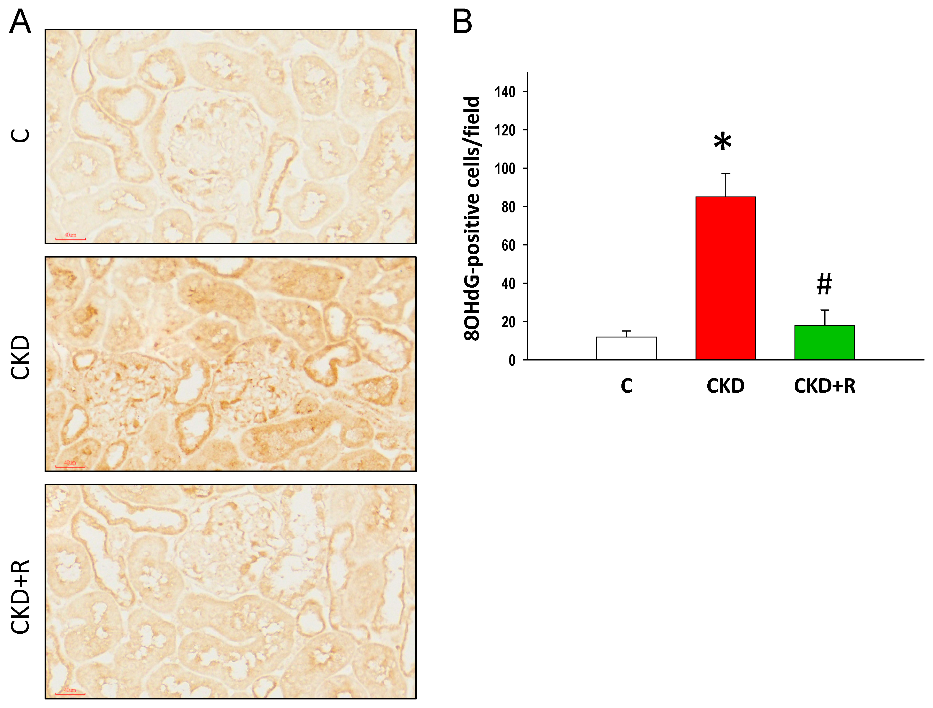 Biomedicines 08 00567 g008