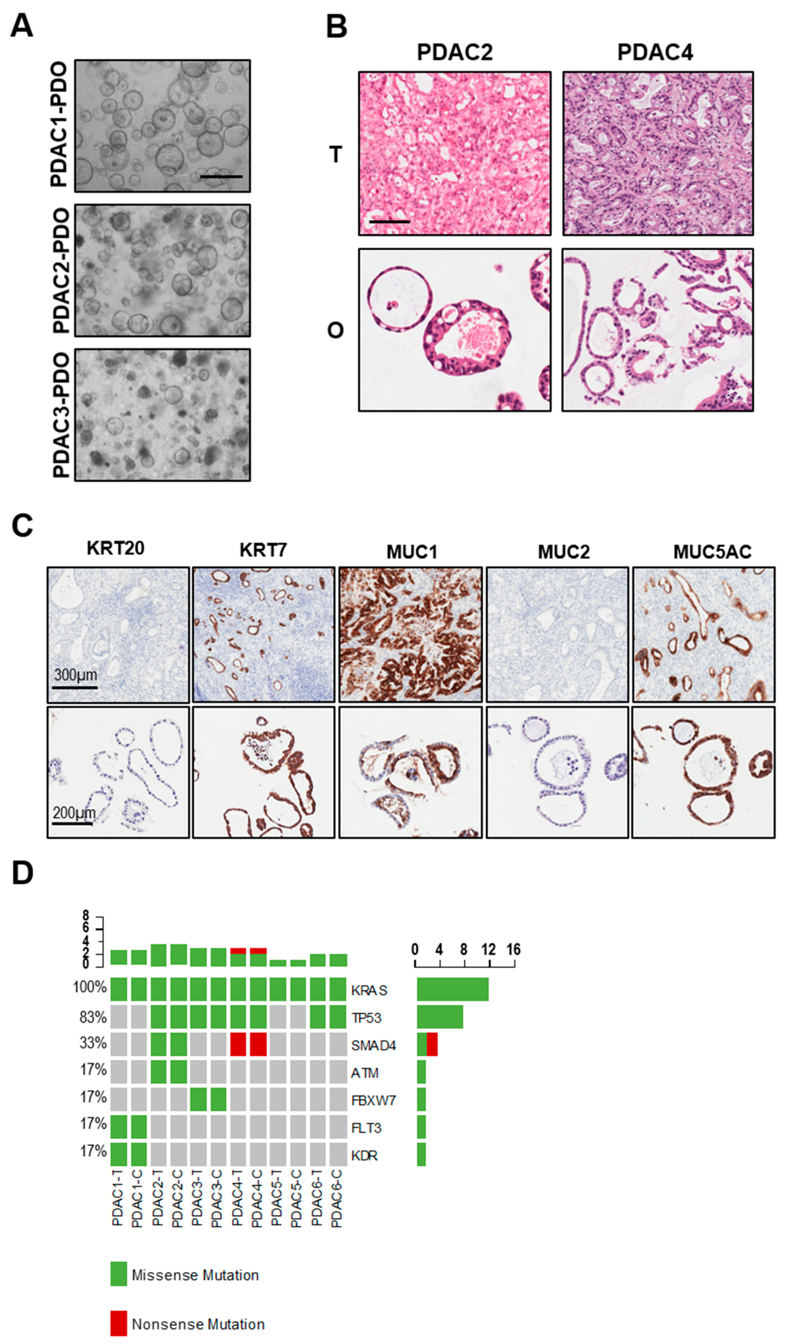 Biomedicines 08 00609 g002 Biomedicines 08 00609 g002