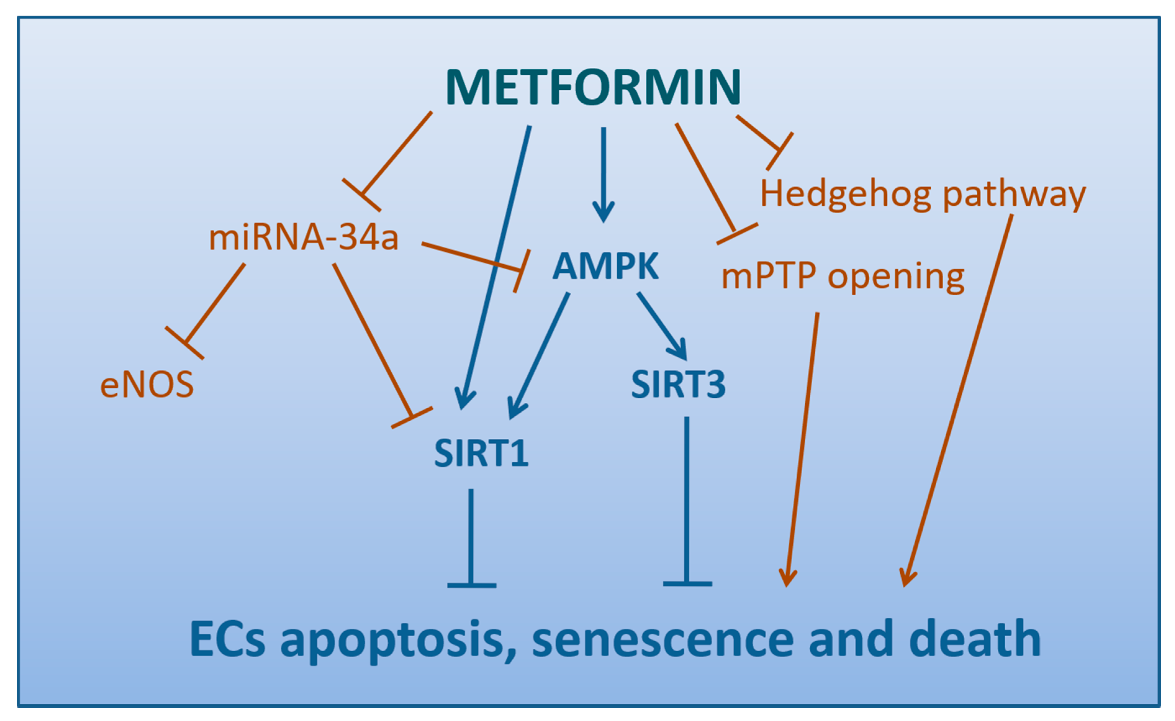 Orden metformin