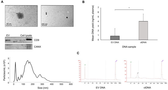 Low-coverage whole-genome sequencing of extracellular vesicle-associated  DNA in patients with metastatic cancer