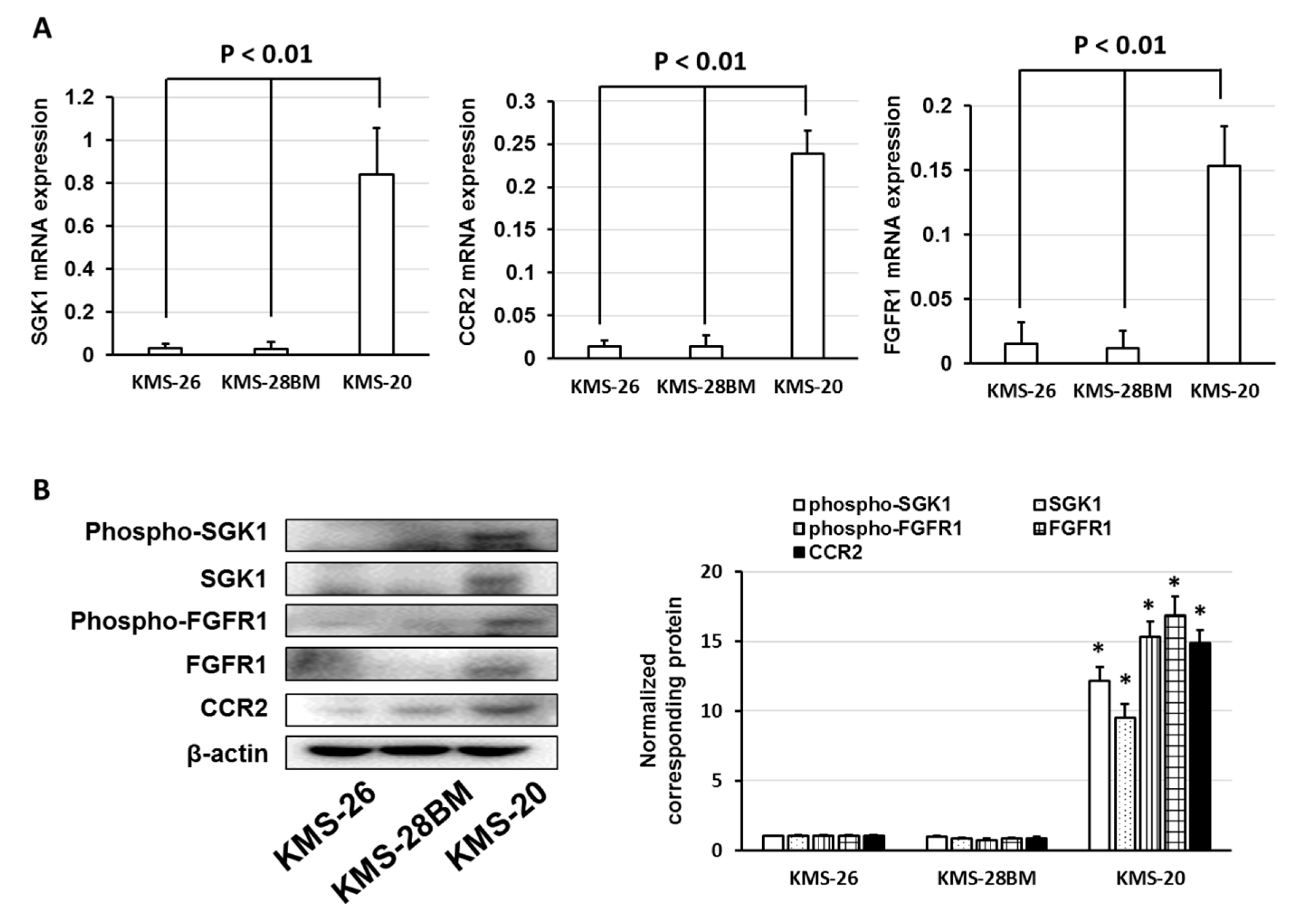 Biomedicines 09 00033 g003a
