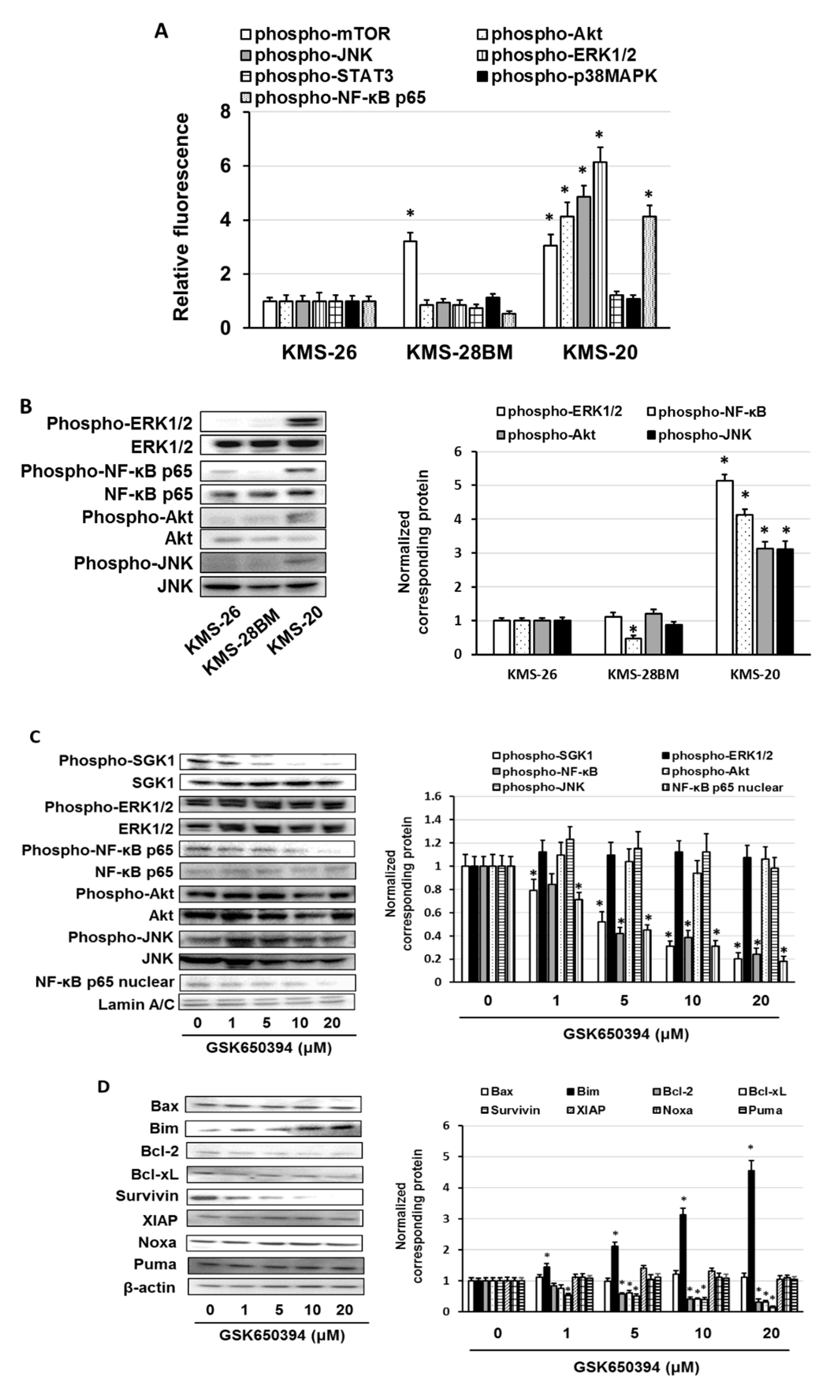Biomedicines 09 00033 g004a