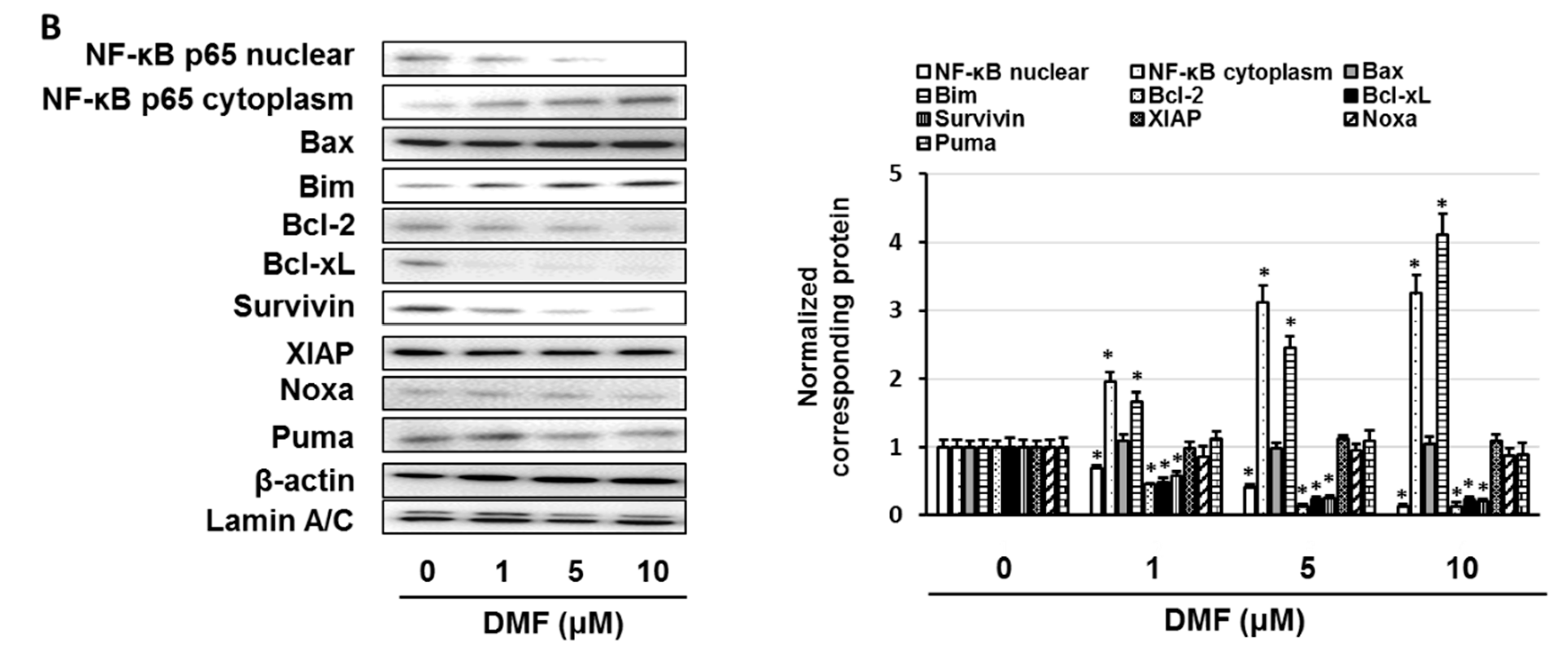 Biomedicines 09 00033 g005b