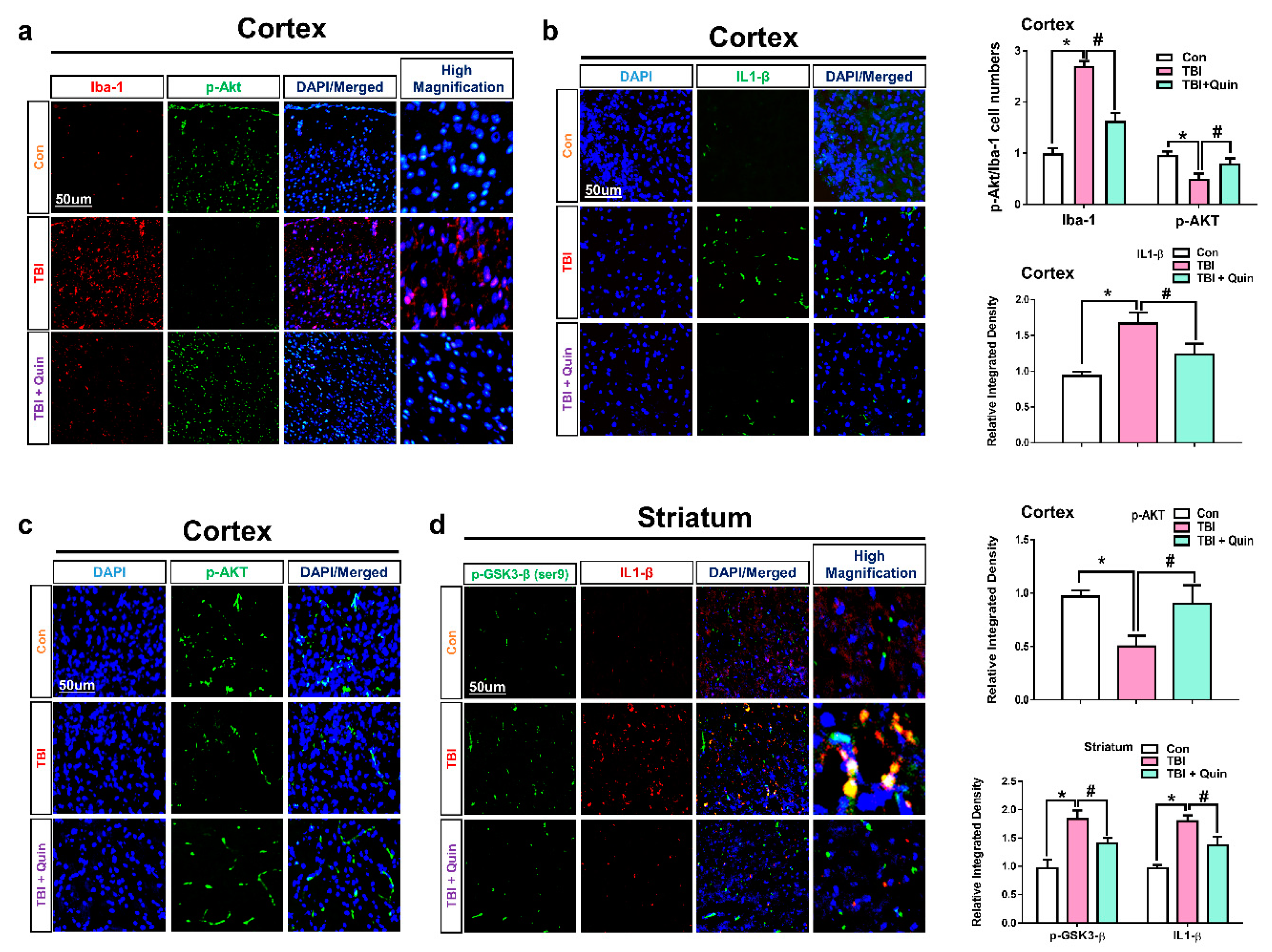 Biomedicines 09 00047 g002 Biomedicines 09 00047 g002