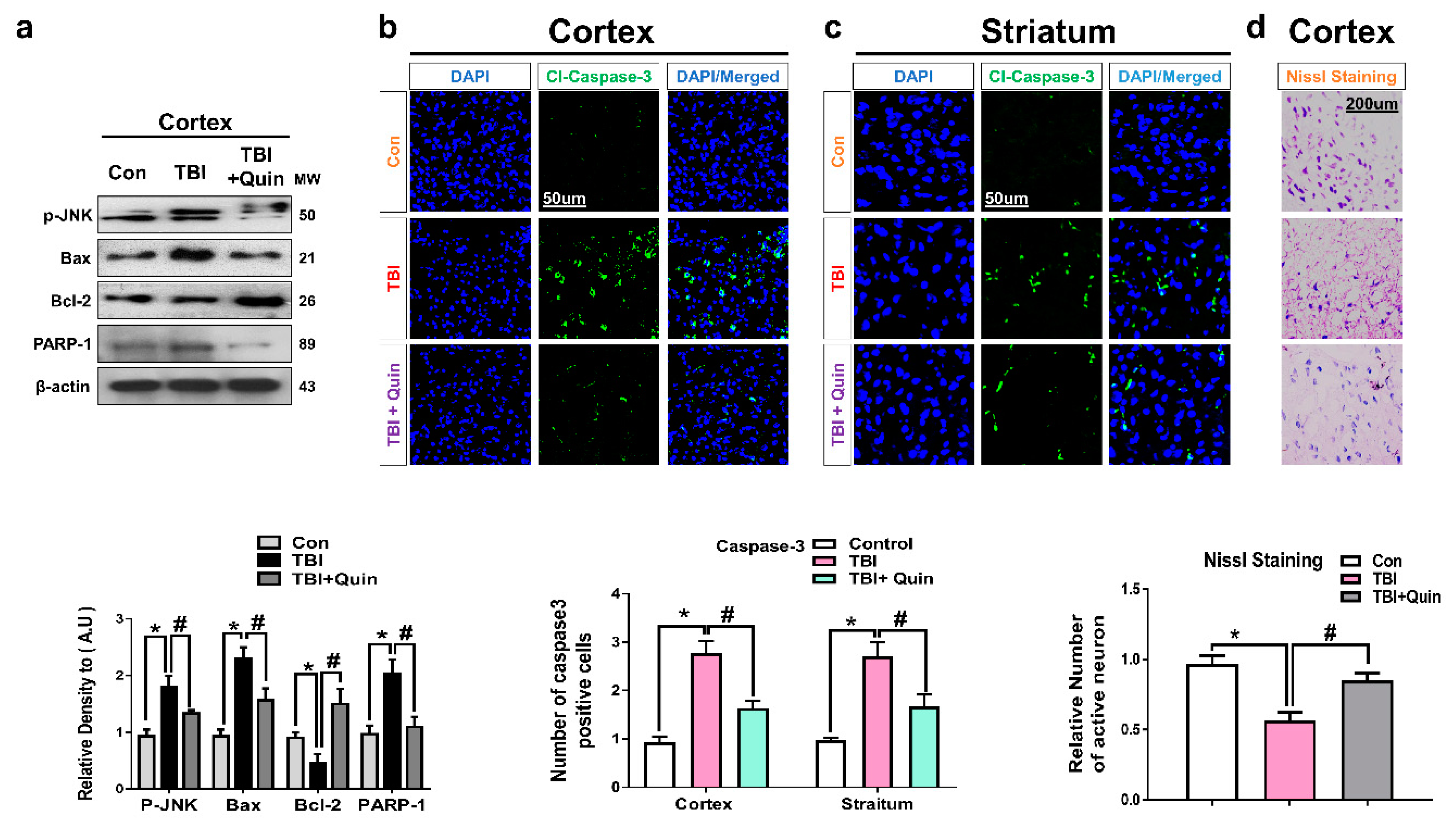 Biomedicines 09 00047 g004 Biomedicines 09 00047 g004
