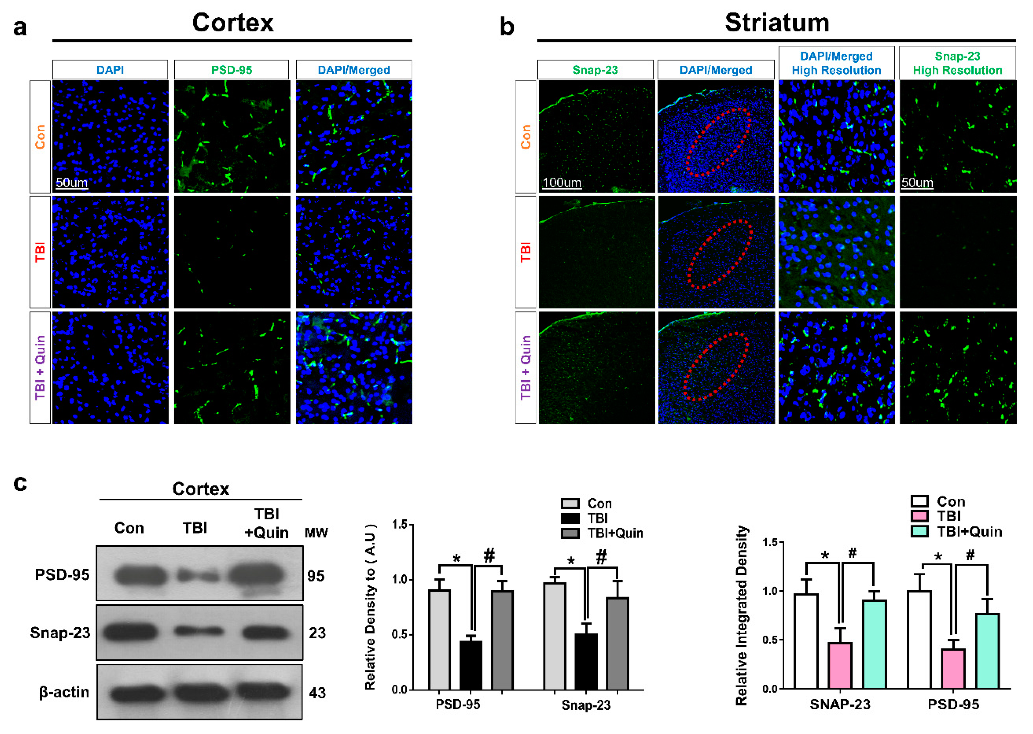 Biomedicines 09 00047 g006 Biomedicines 09 00047 g006