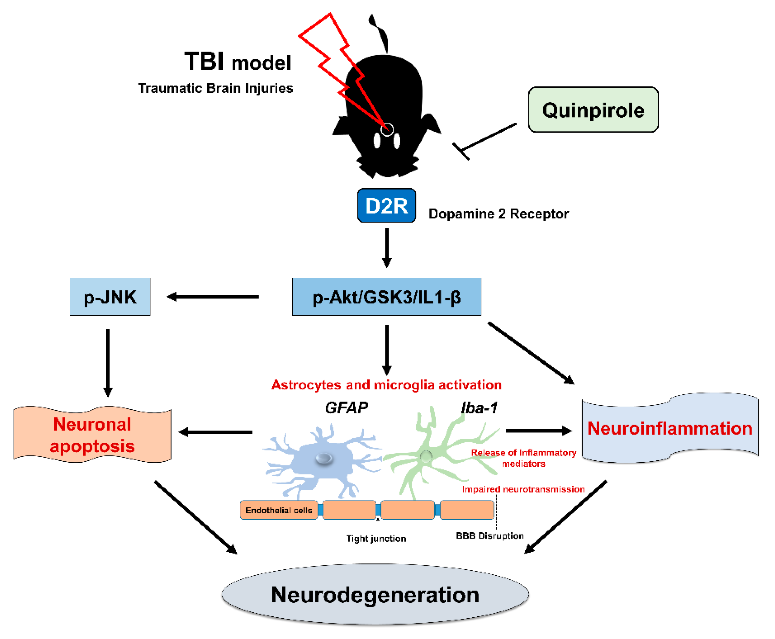 Biomedicines 09 00047 g007 Biomedicines 09 00047 g007