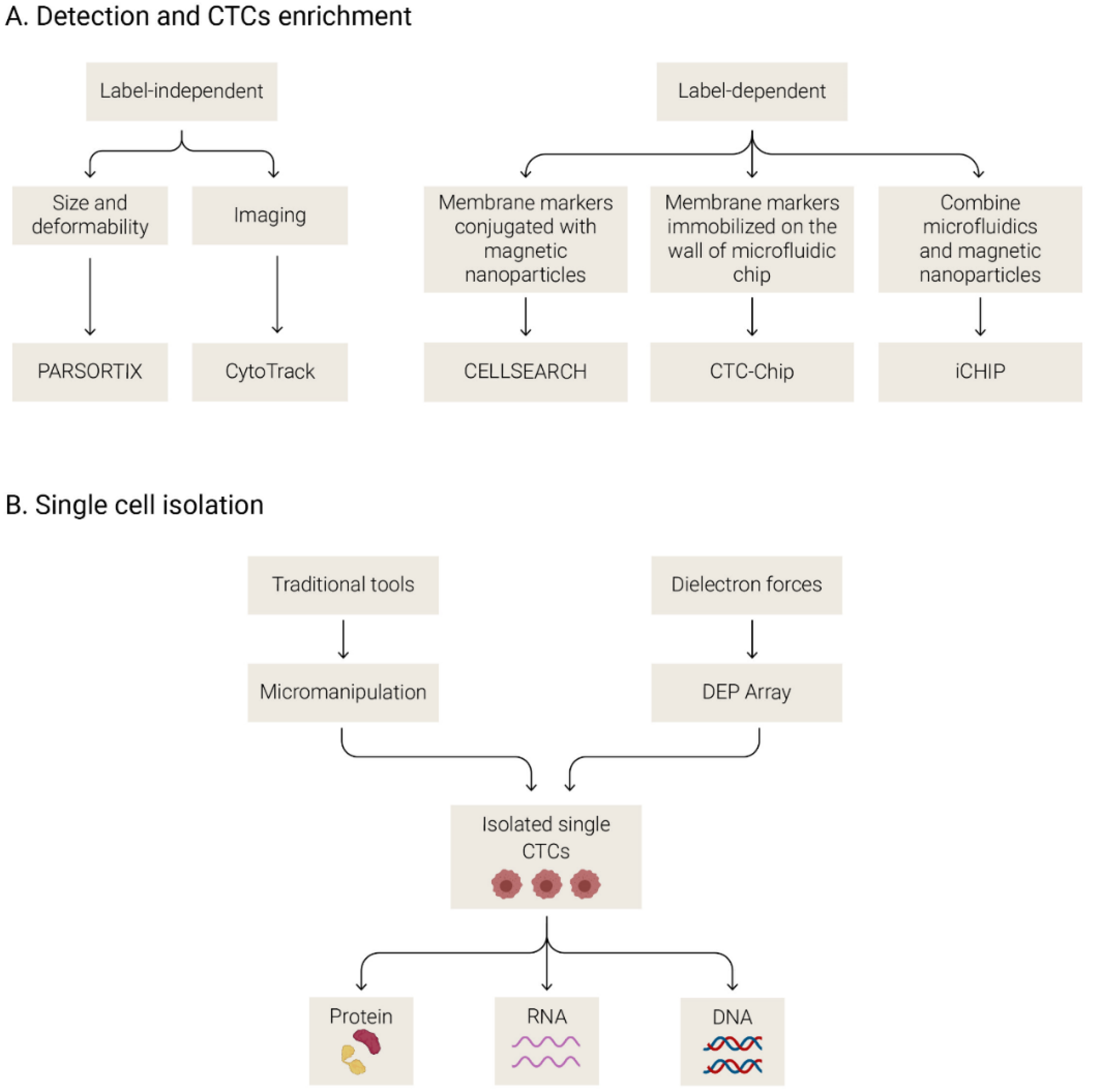 Biomedicines 09 00048 g003 Biomedicines 09 00048 g003
