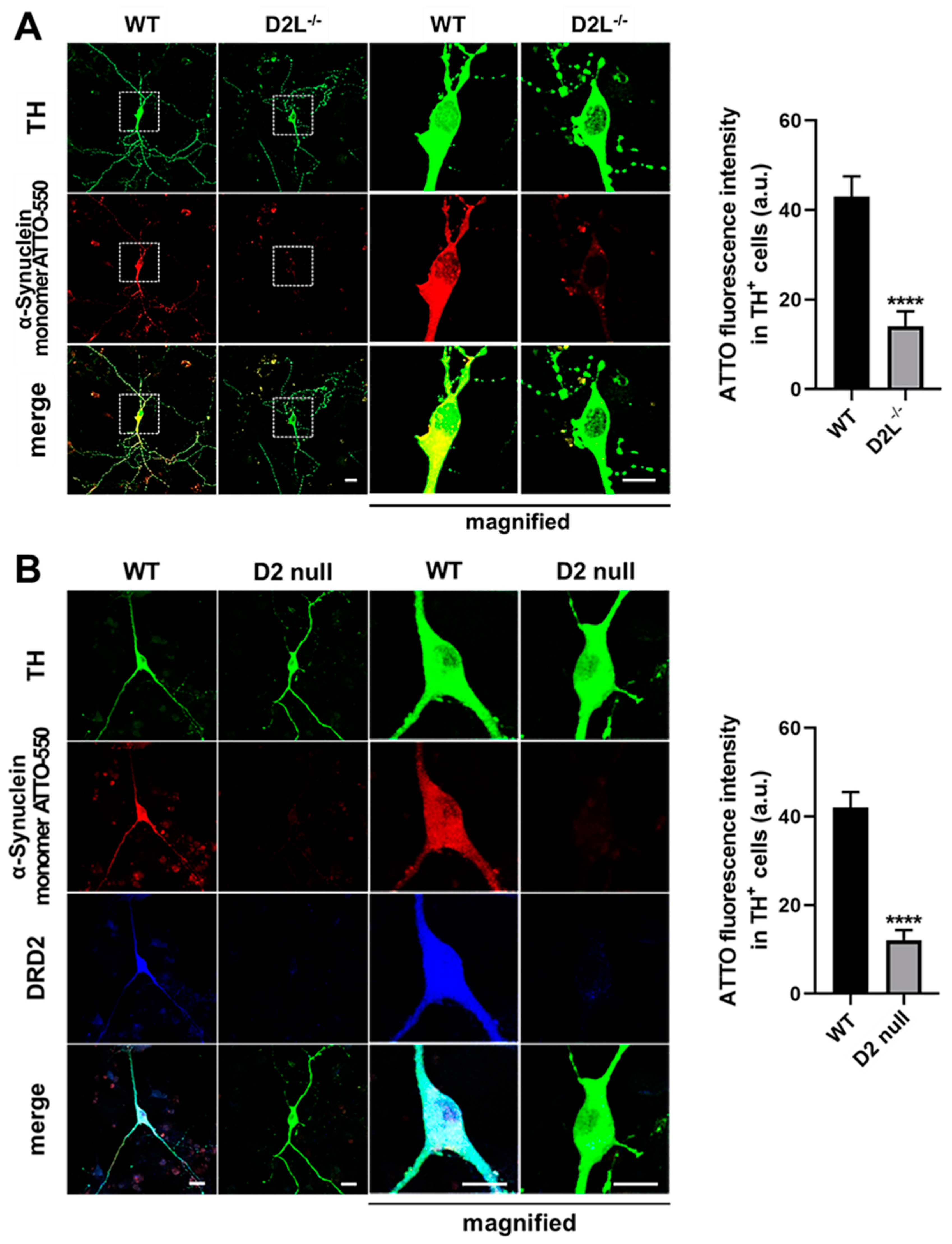 Biomedicines 09 00049 g003 Biomedicines 09 00049 g003