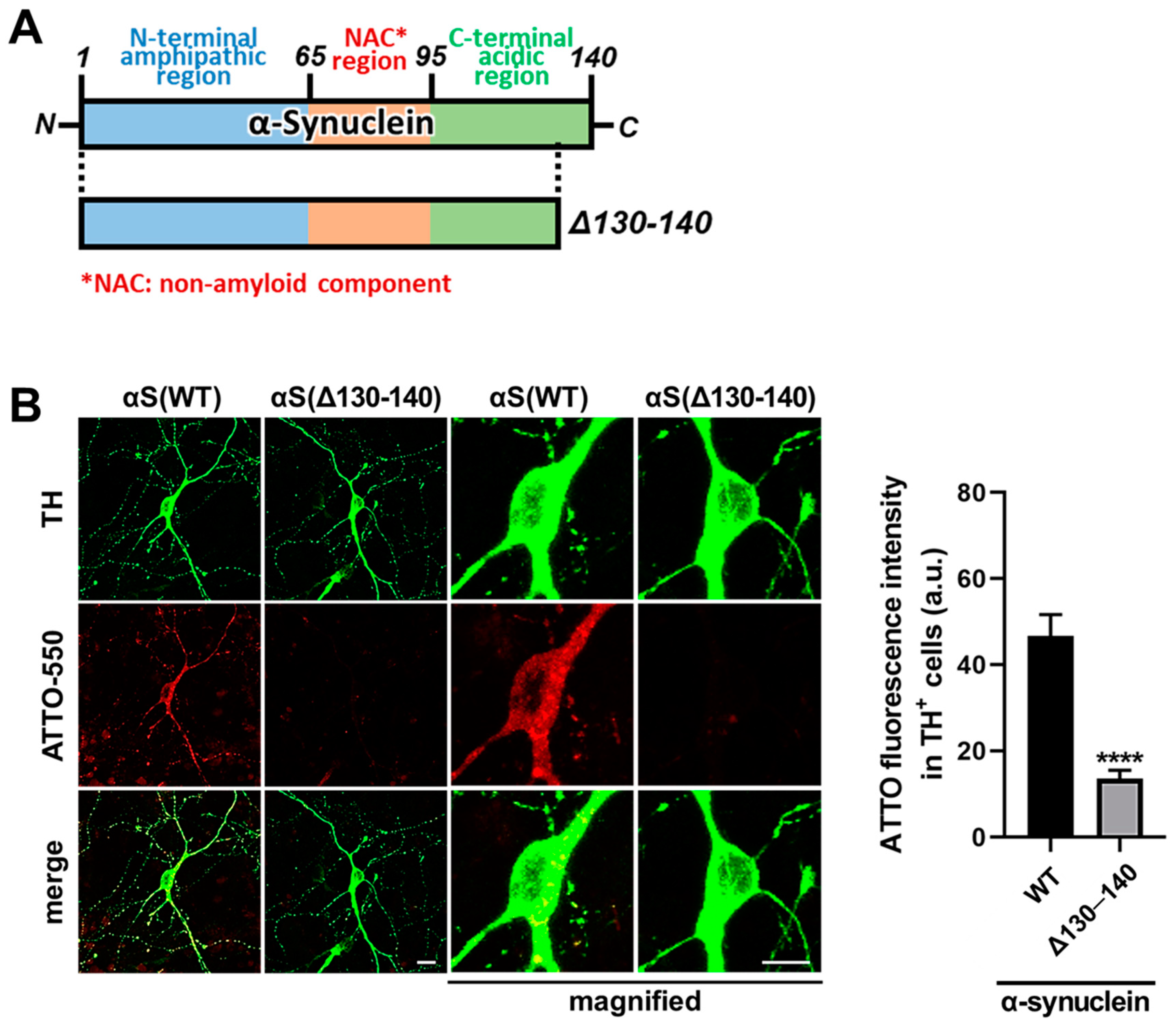 Biomedicines 09 00049 g004 Biomedicines 09 00049 g004